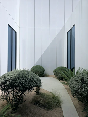 A pathway leads through a modern, enclosed garden.