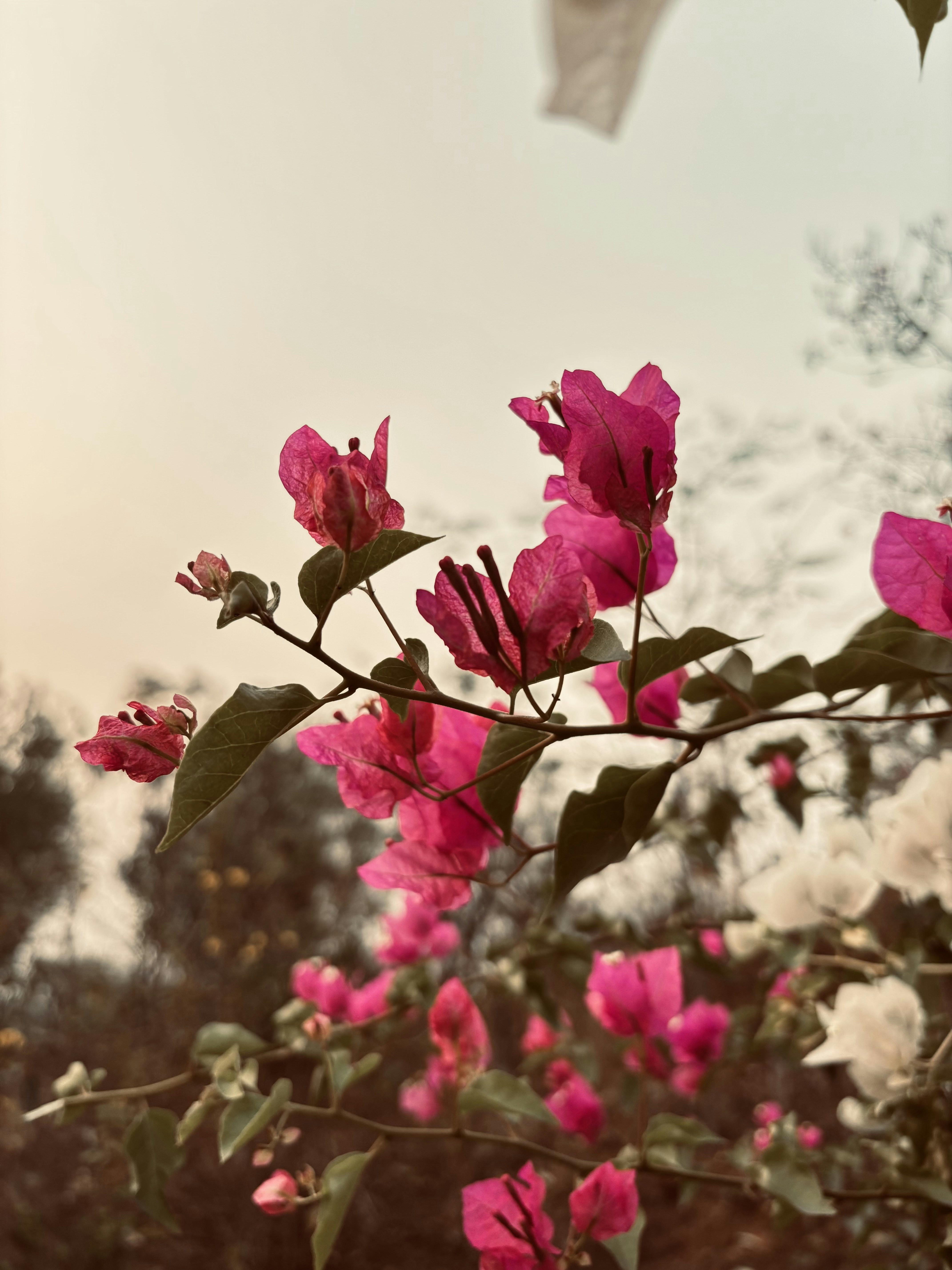 Photo by akash__1107
