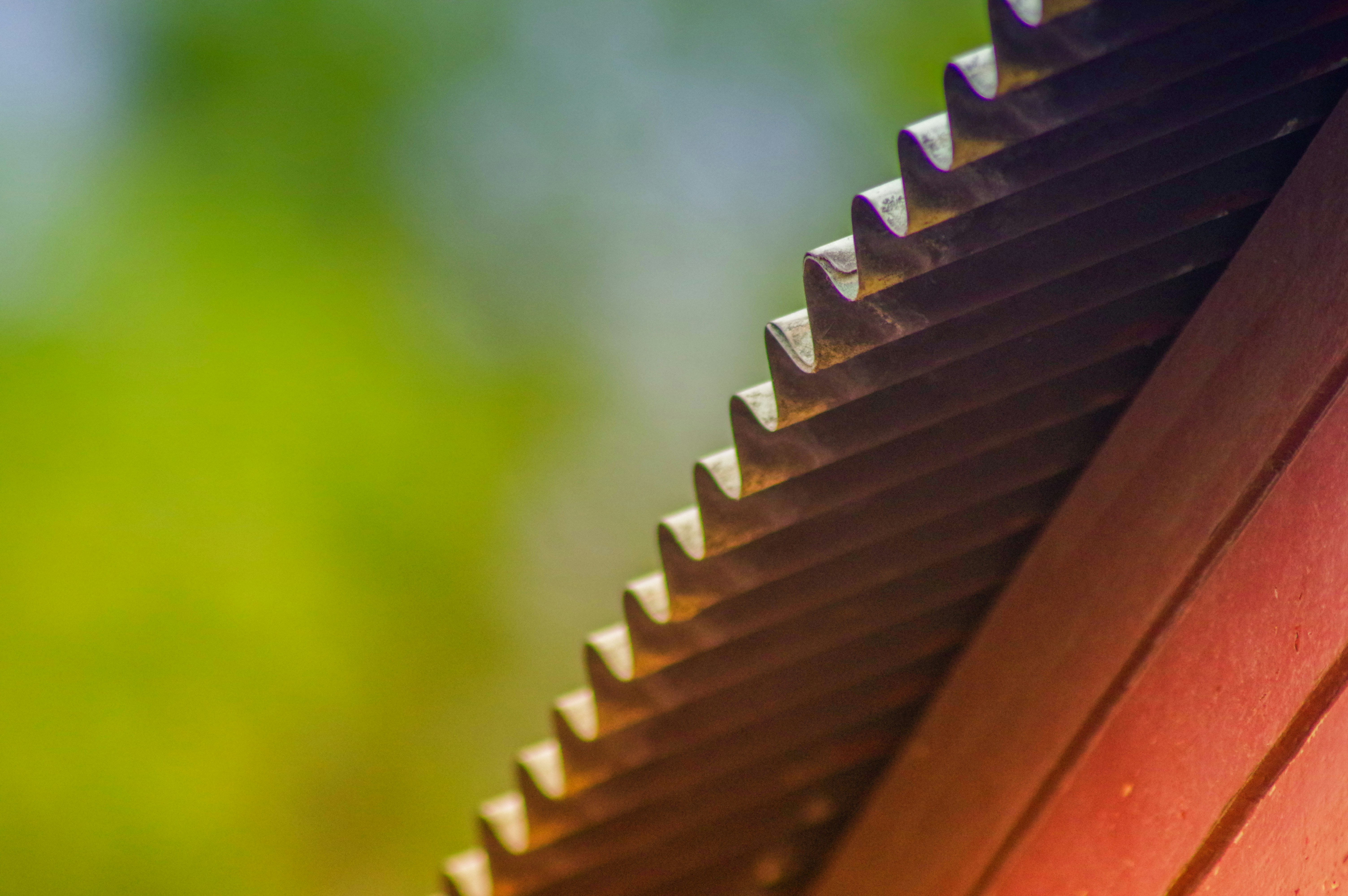 A saw's teeth are prominently displayed.