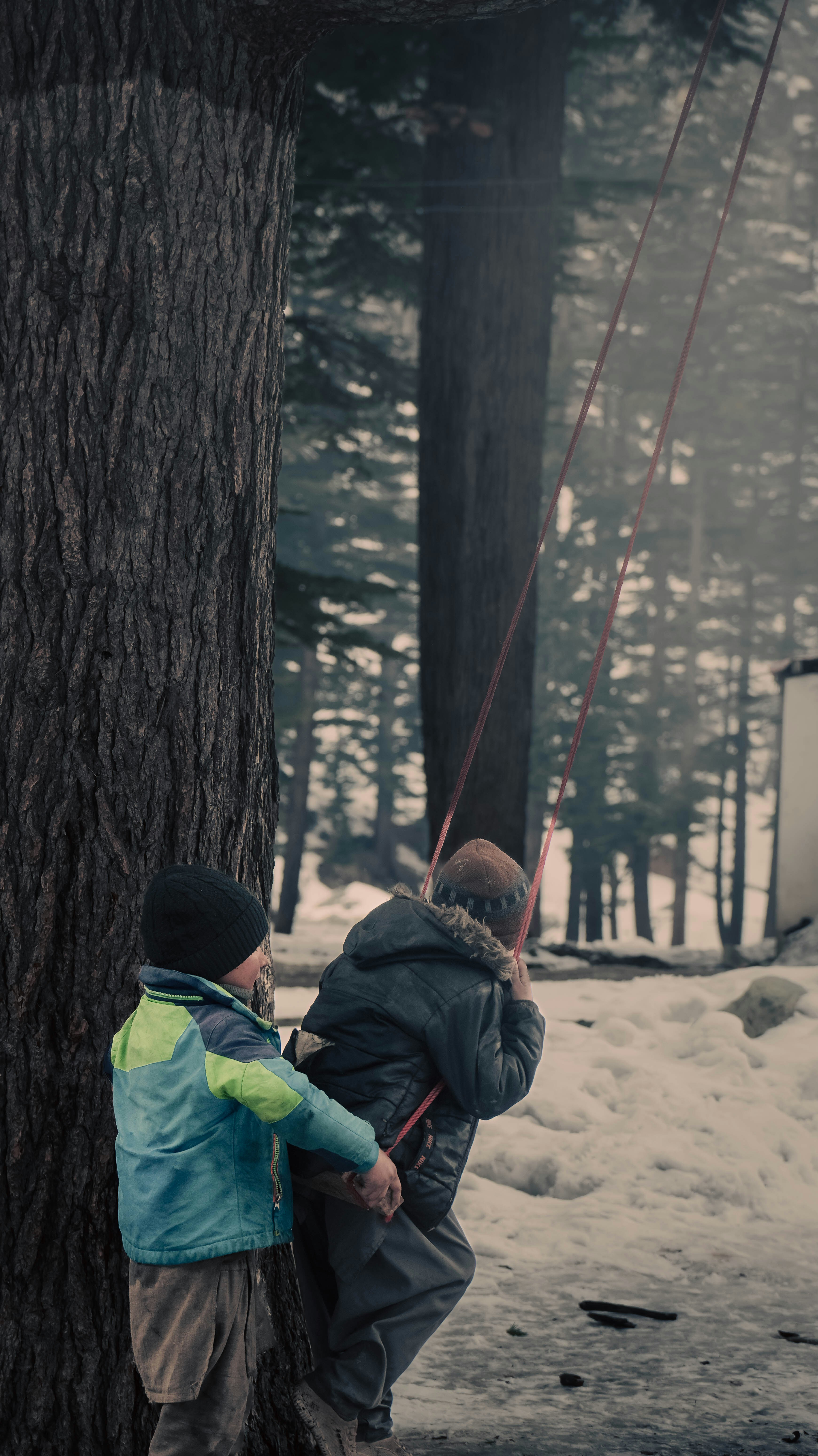 Two children play on a swing outdoors.
