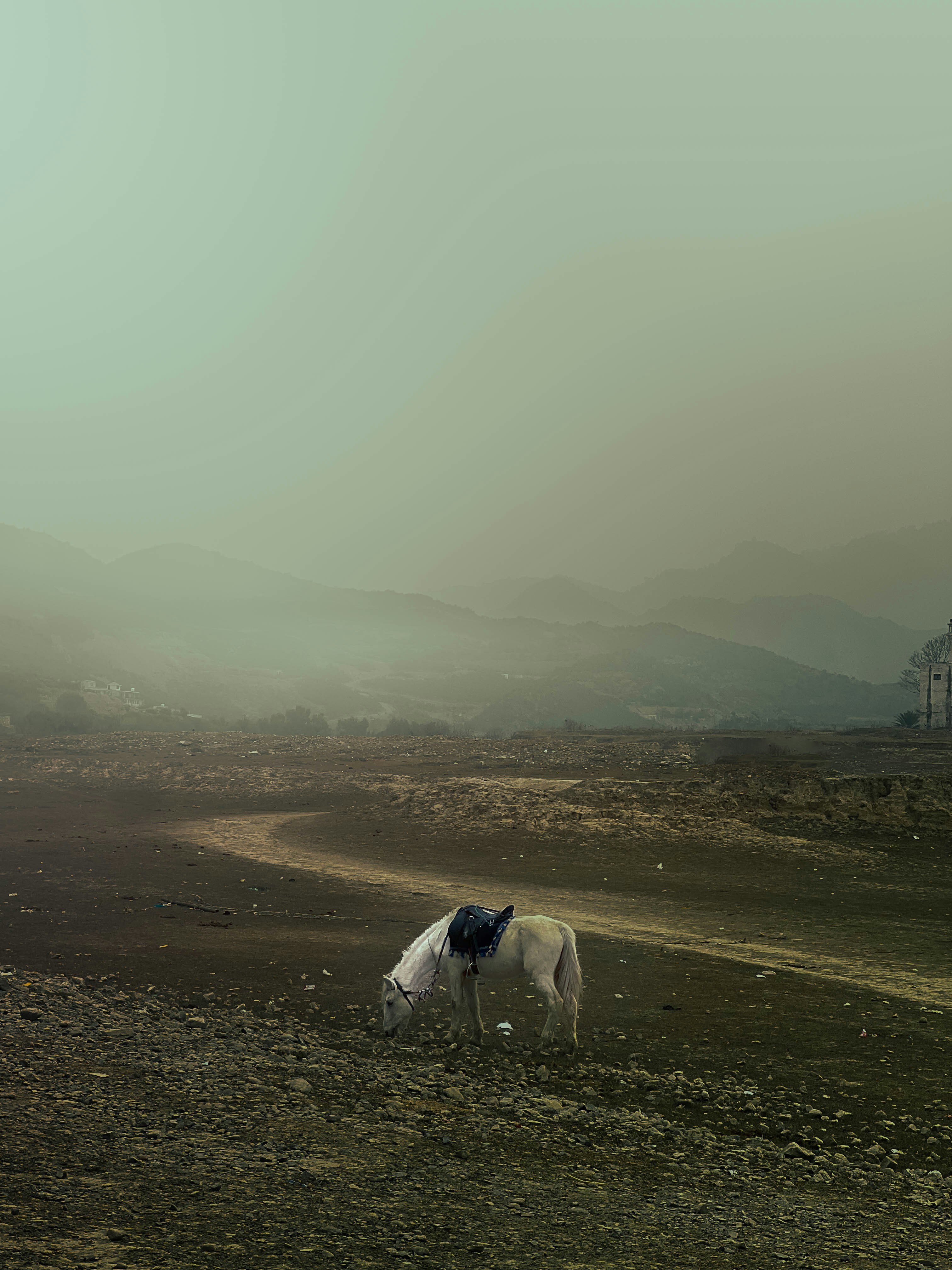 A white horse grazes in a misty, mountainous landscape.