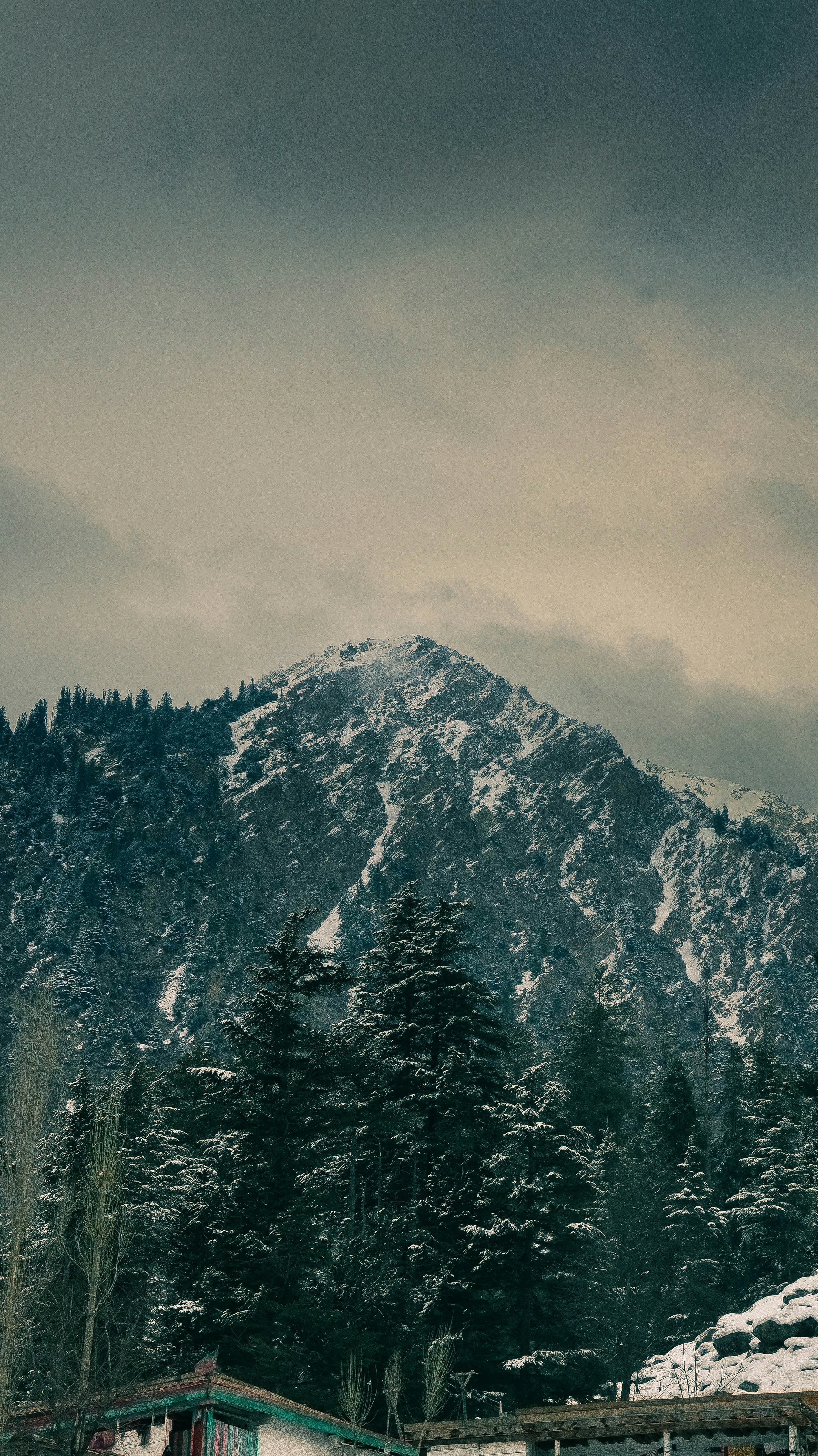 Photo by sarangbhojwani