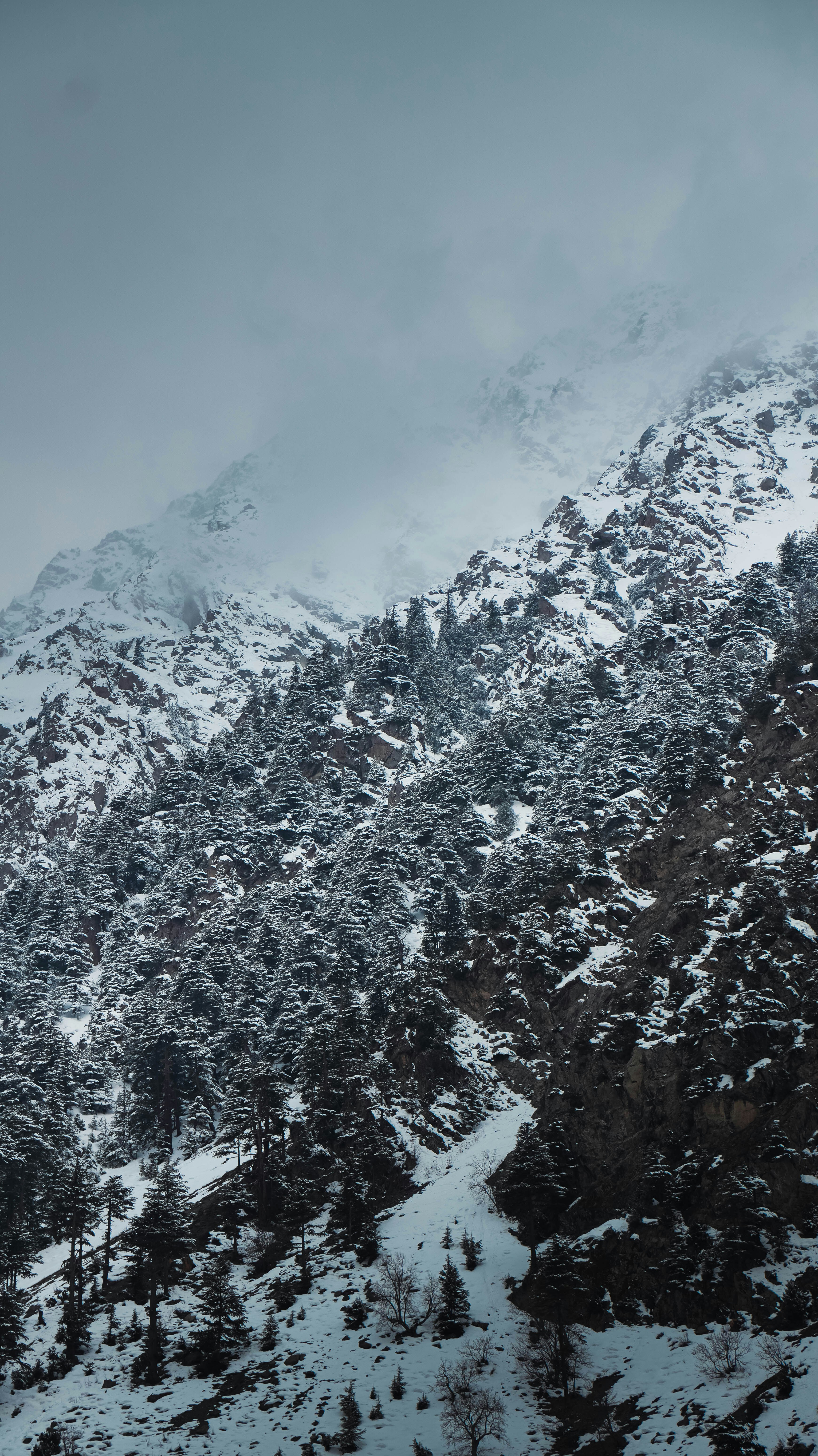 Photo by sarangbhojwani