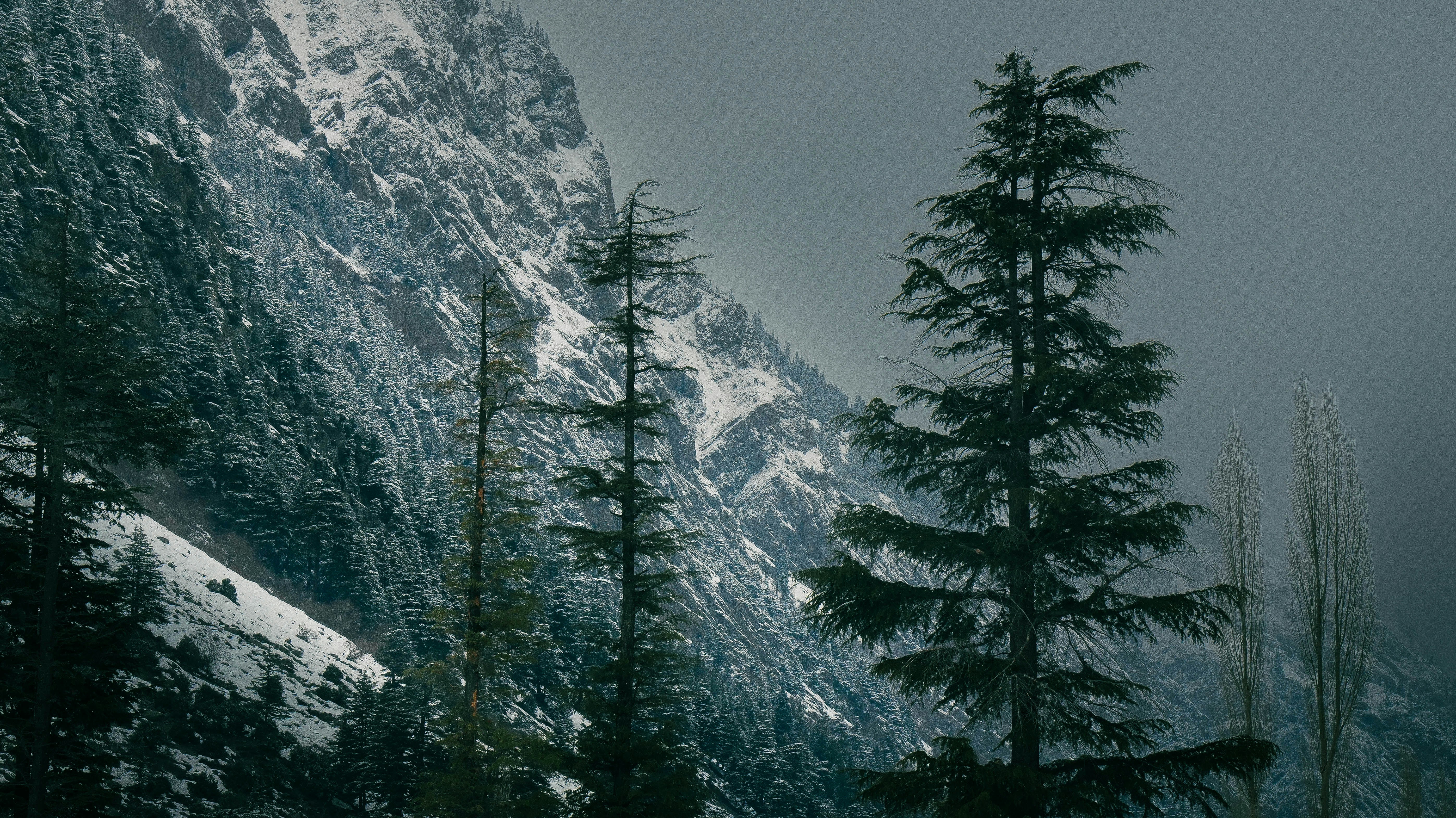 Photo by sarangbhojwani