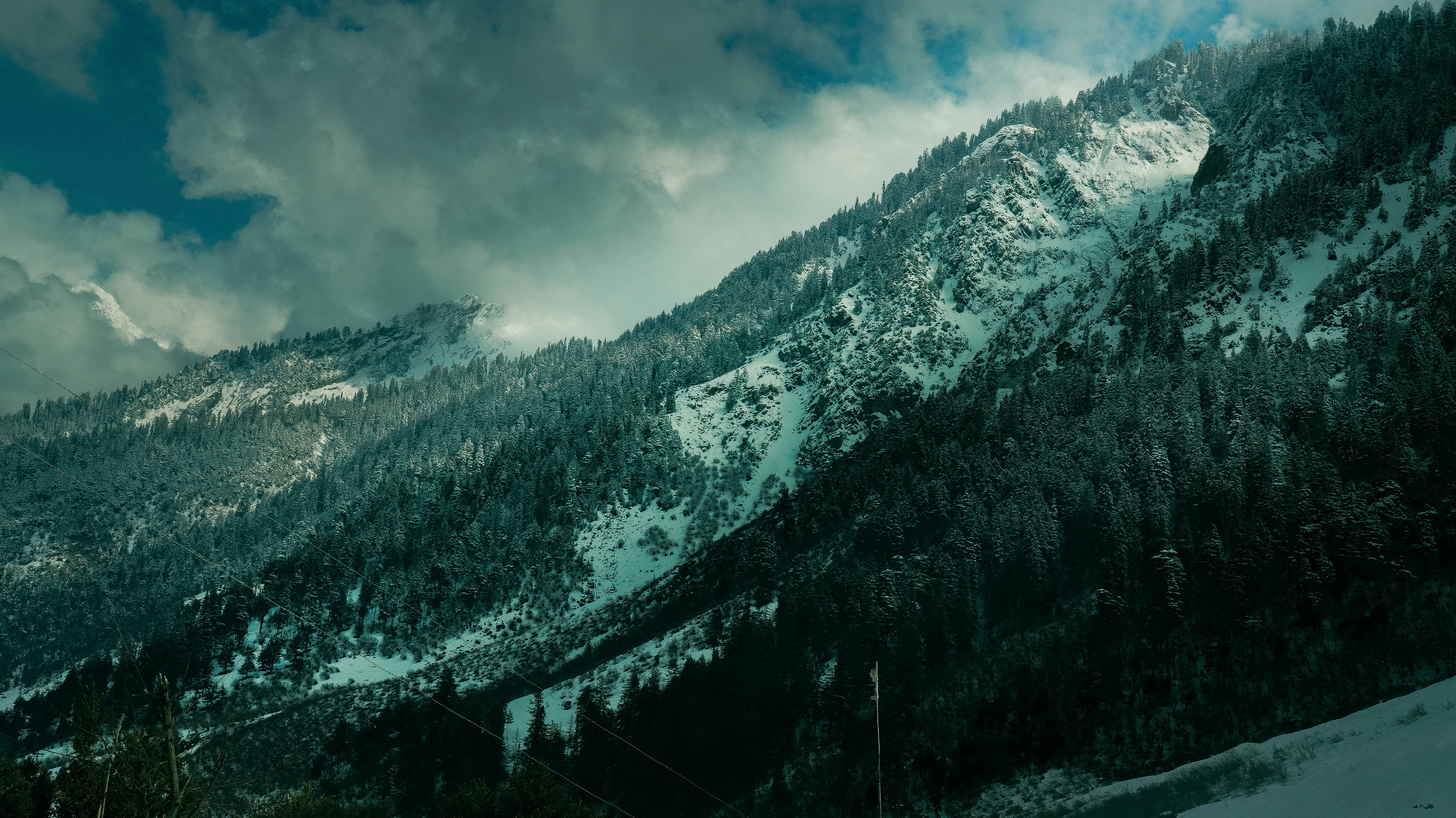 Photo by sarangbhojwani