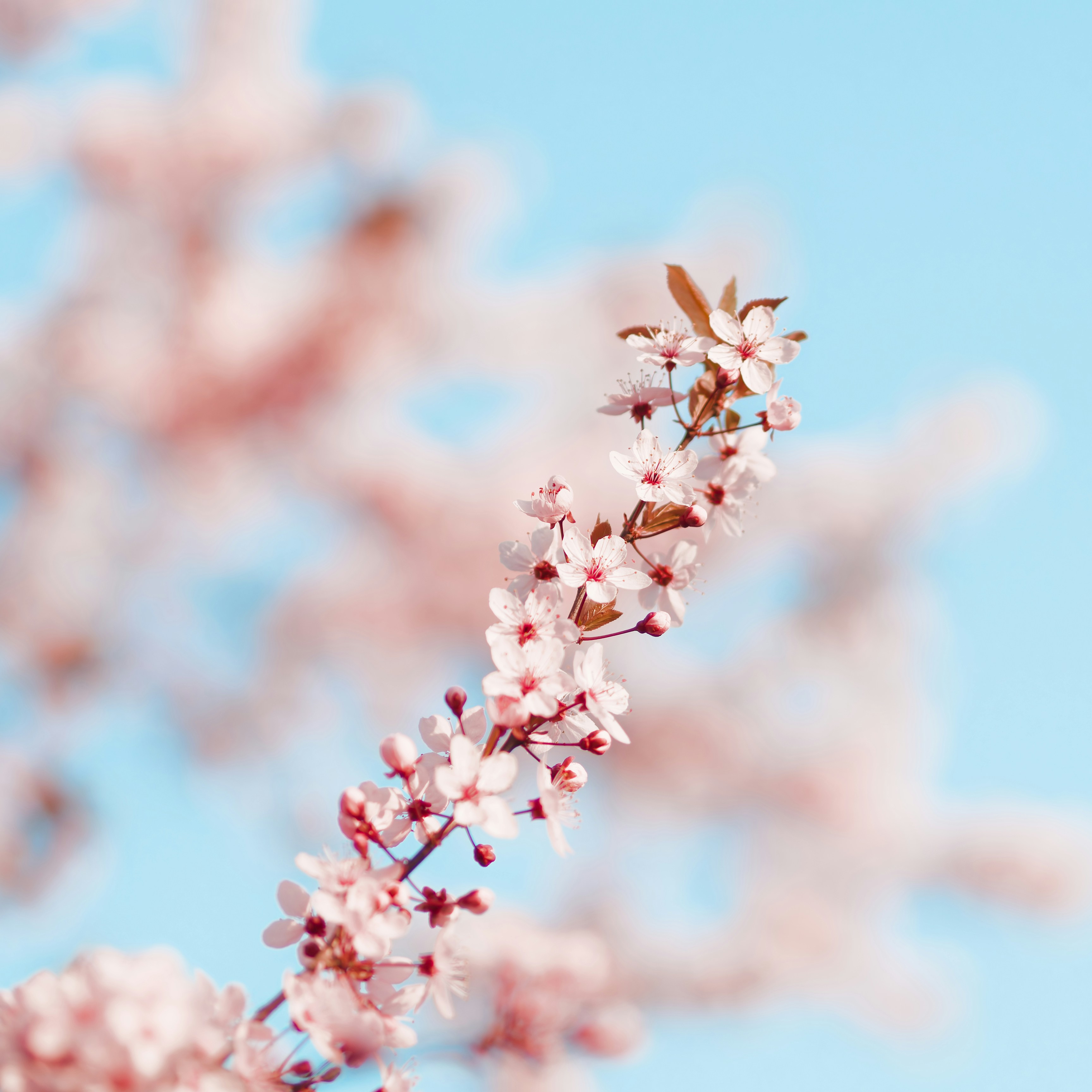 Photo by simon_berger