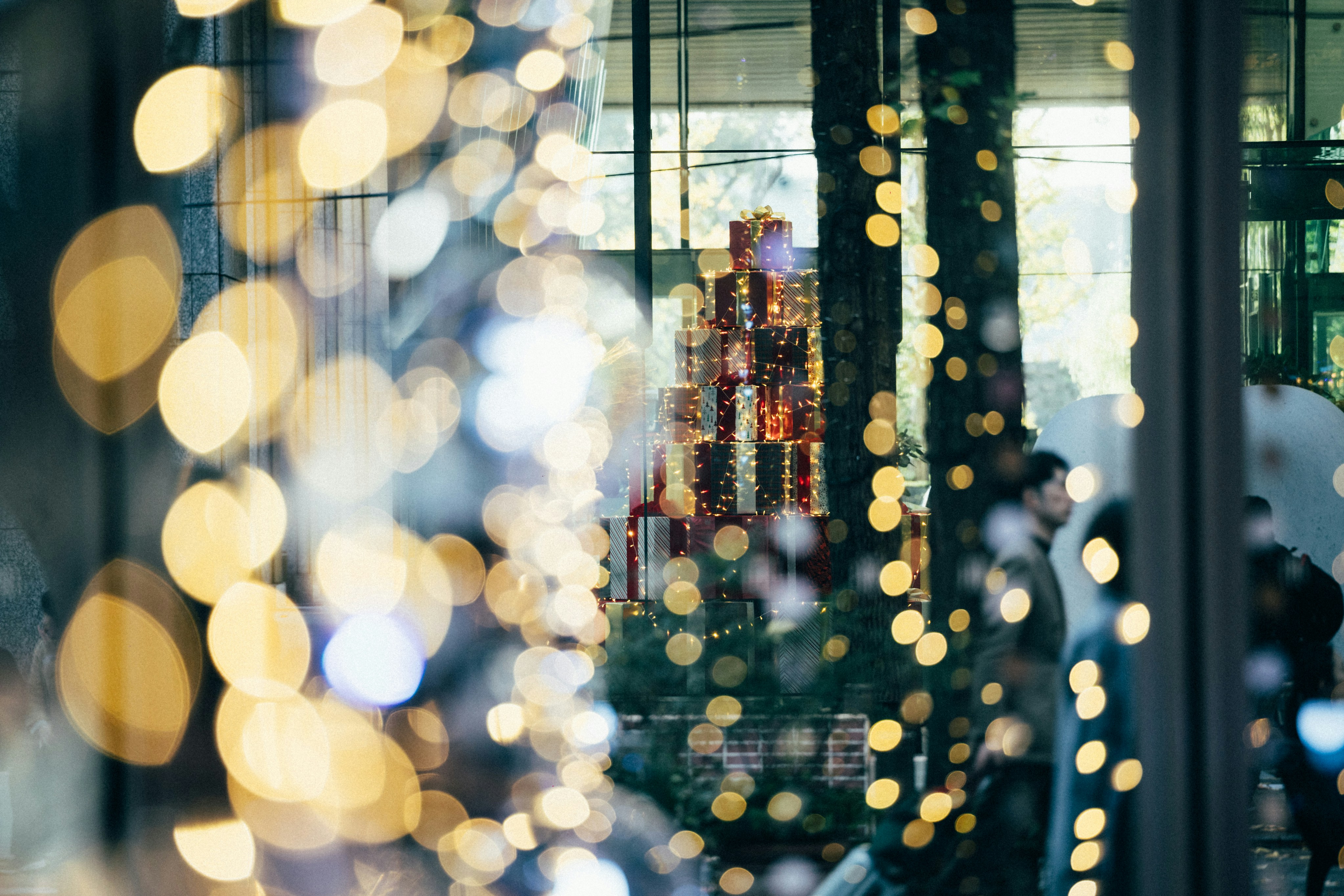 Photo by tsuyoshikozu