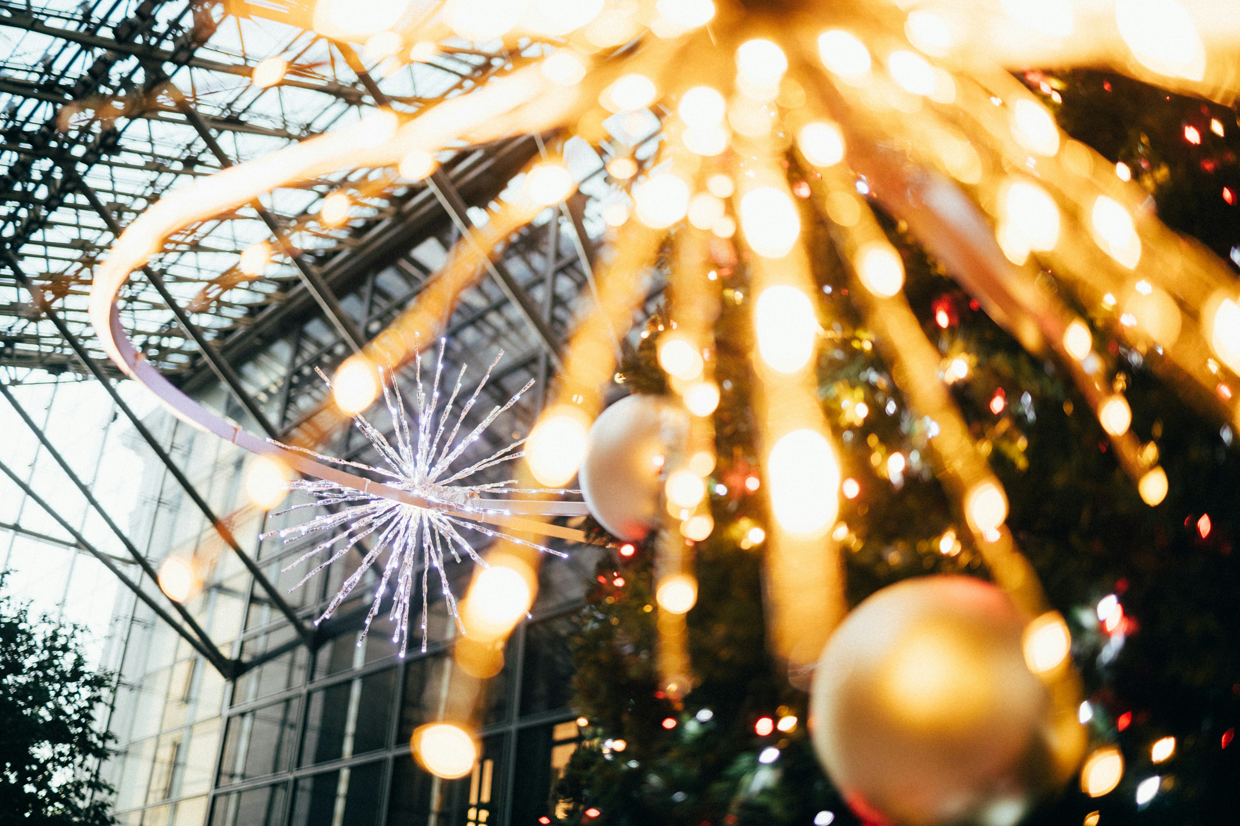 Photo by tsuyoshikozu