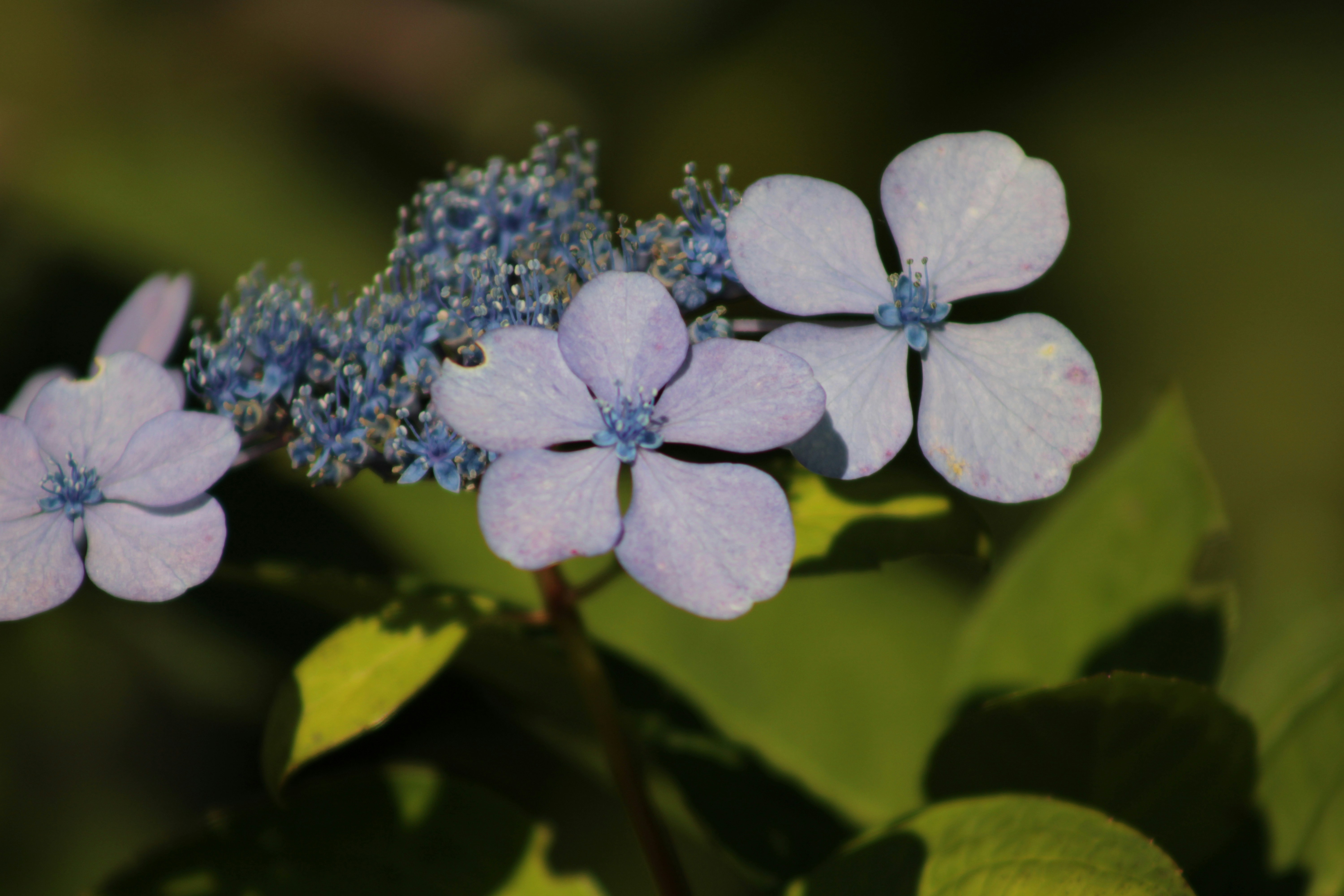 Photo by yenniferfilms