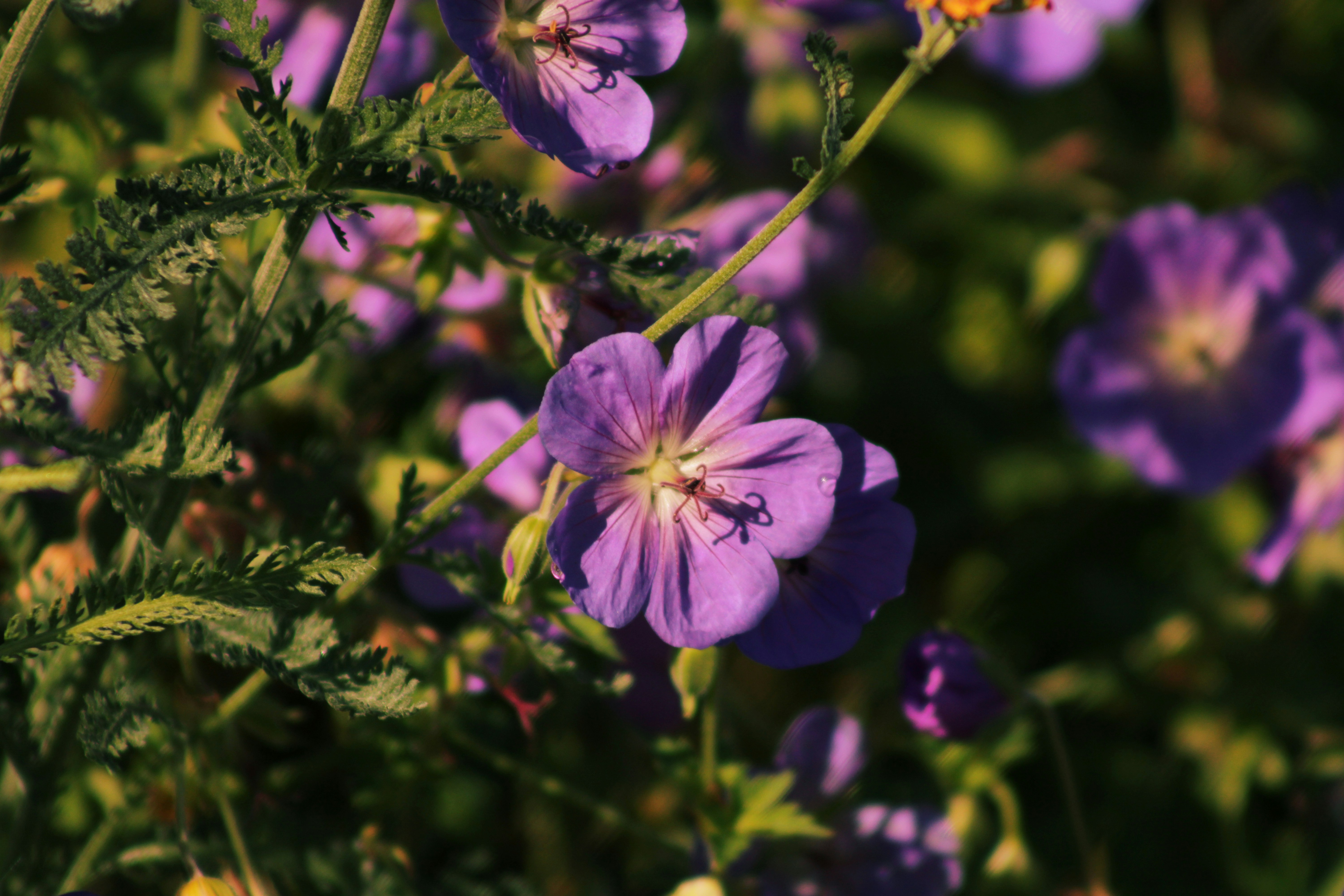 Photo by yenniferfilms