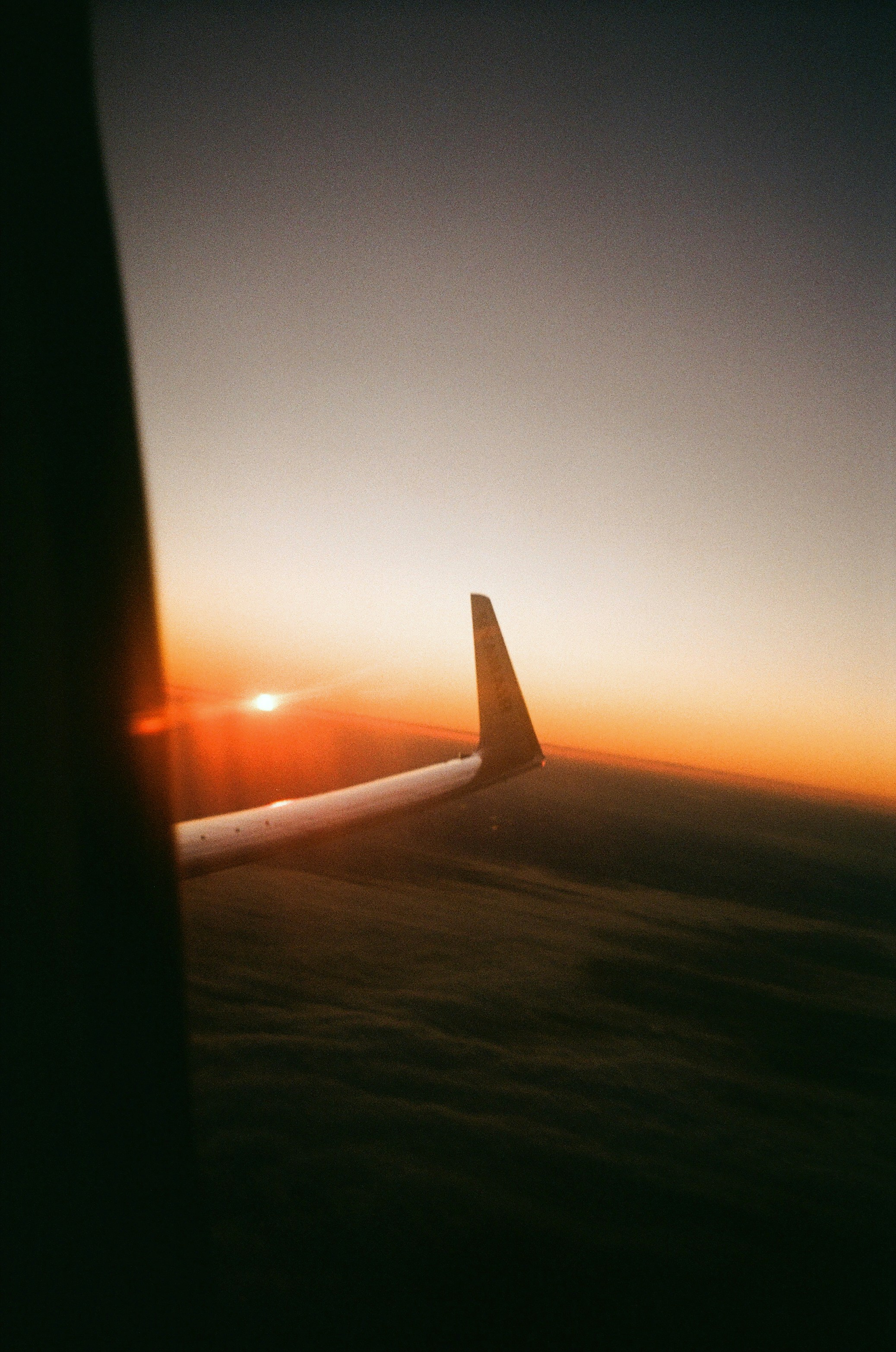 Photo by oleksandra_sereda