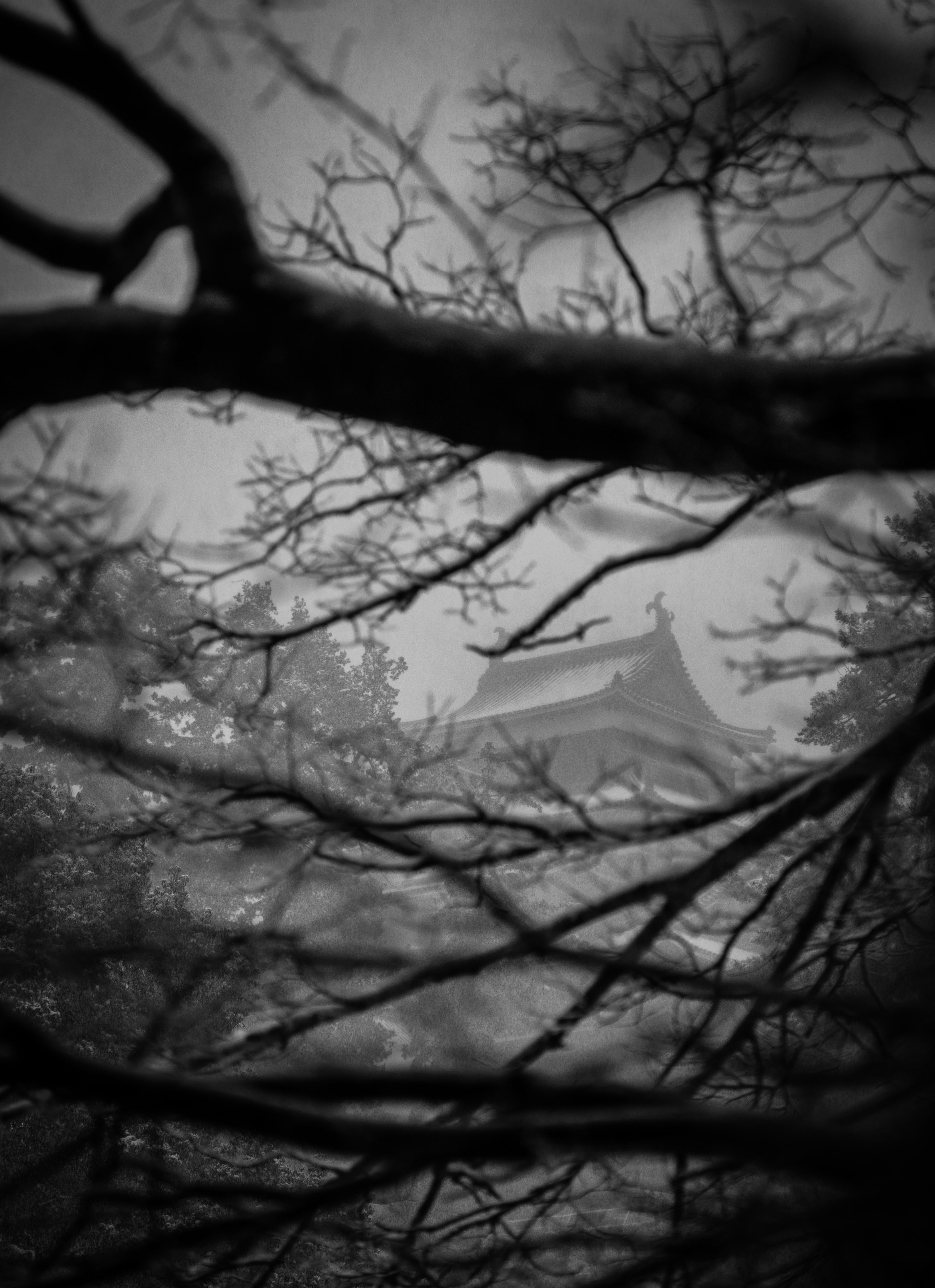 Photo by capturelight