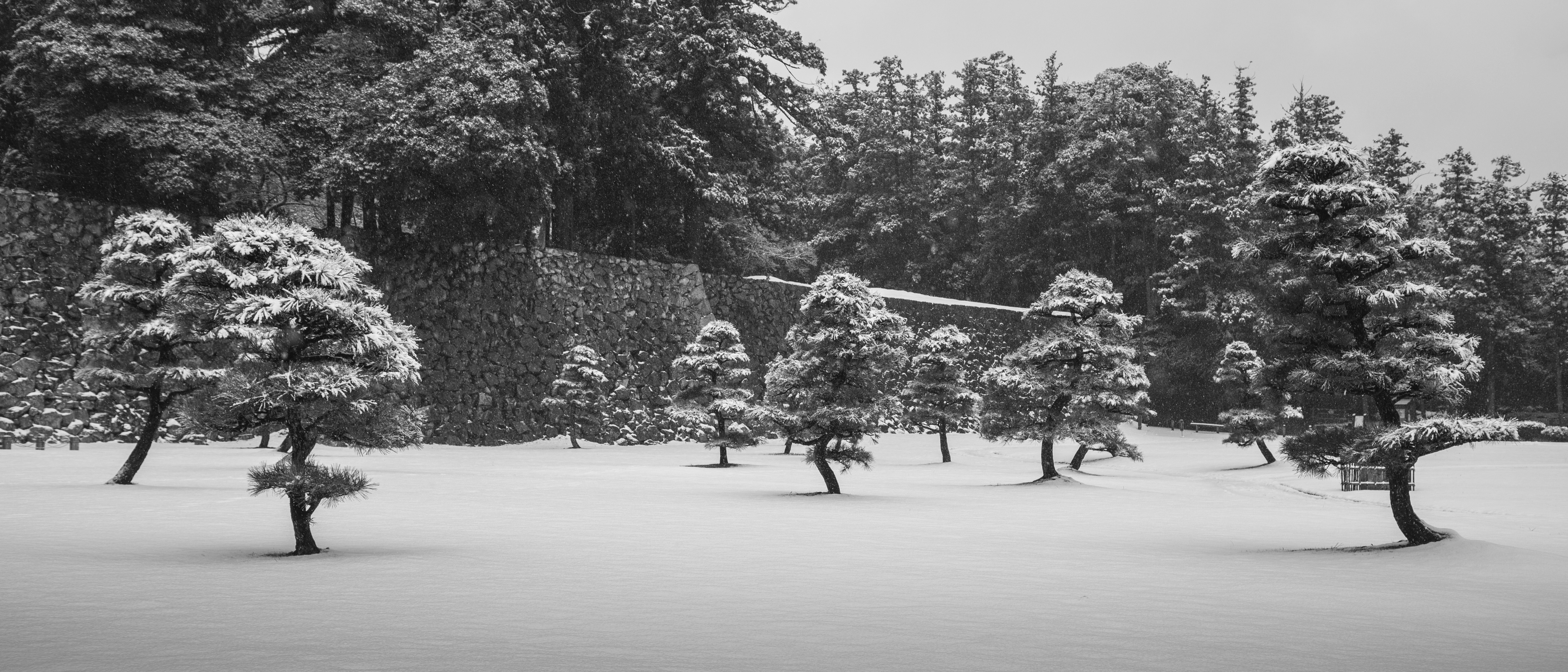 Snow covers the trees in a winter landscape.