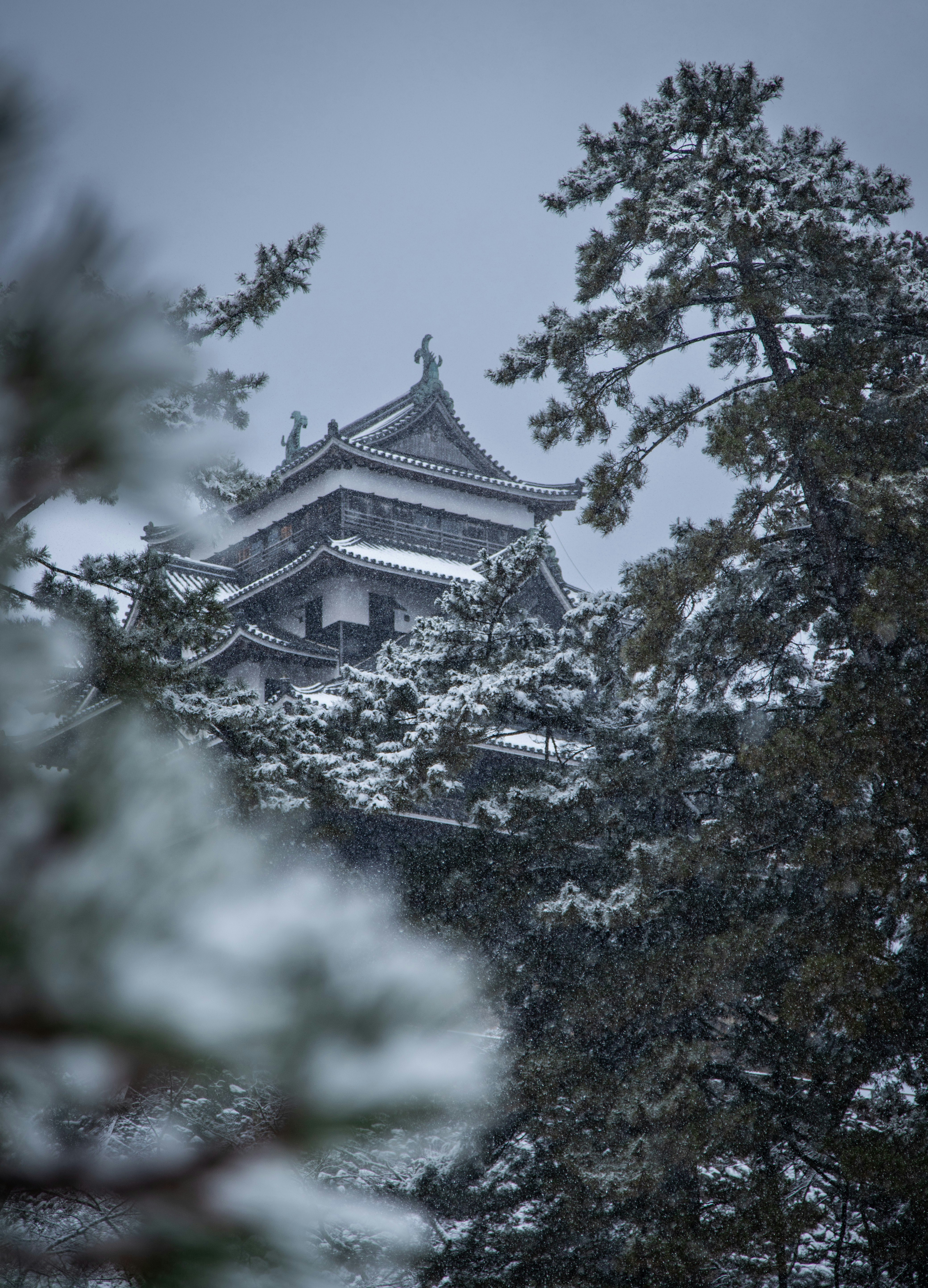 Japanese castle in a snowy winter forest.
