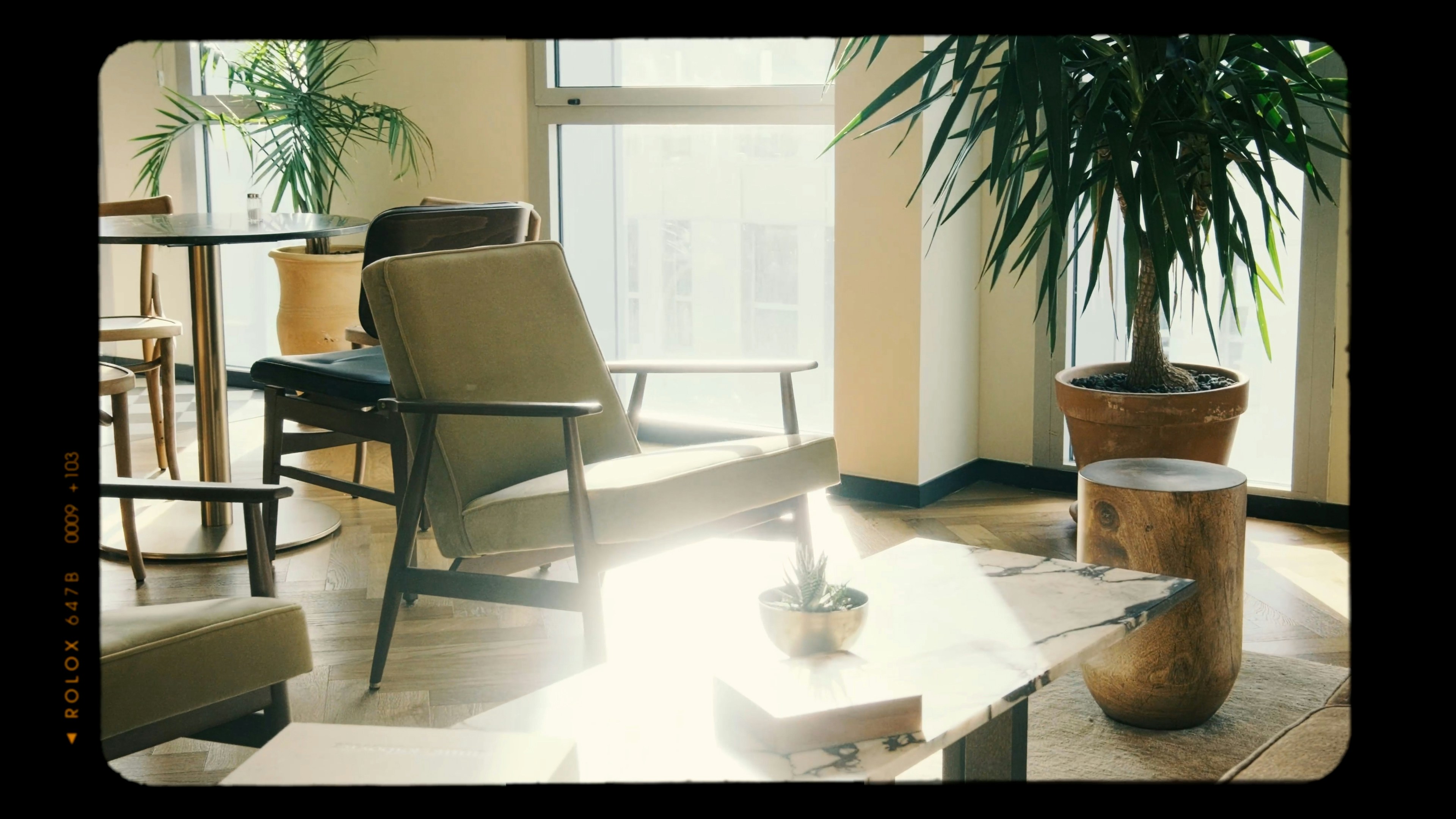 Ein helles Wohnzimmer mit mehreren Pflanzen.