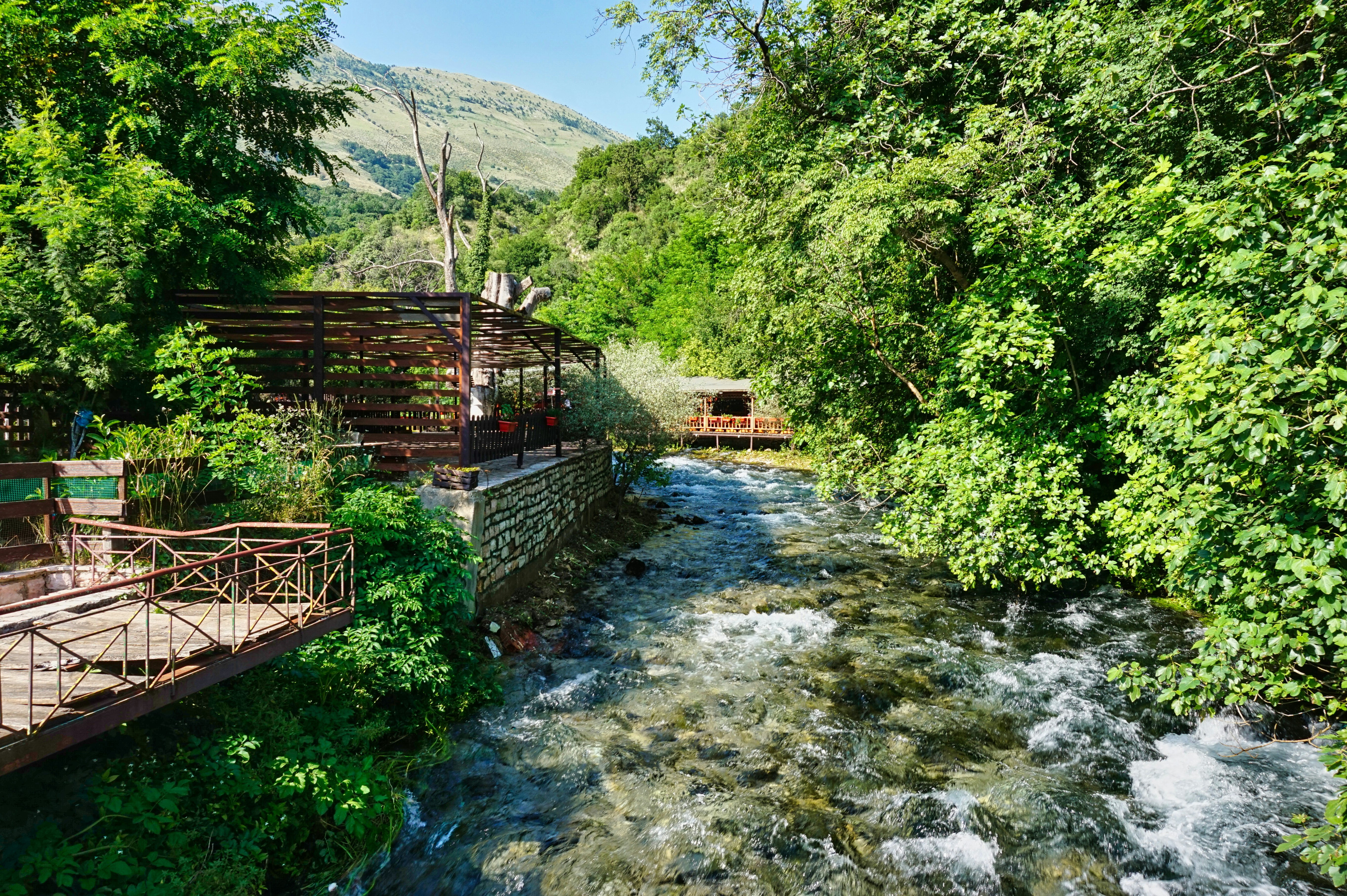 A scenic stream flows through lush, green foliage.
