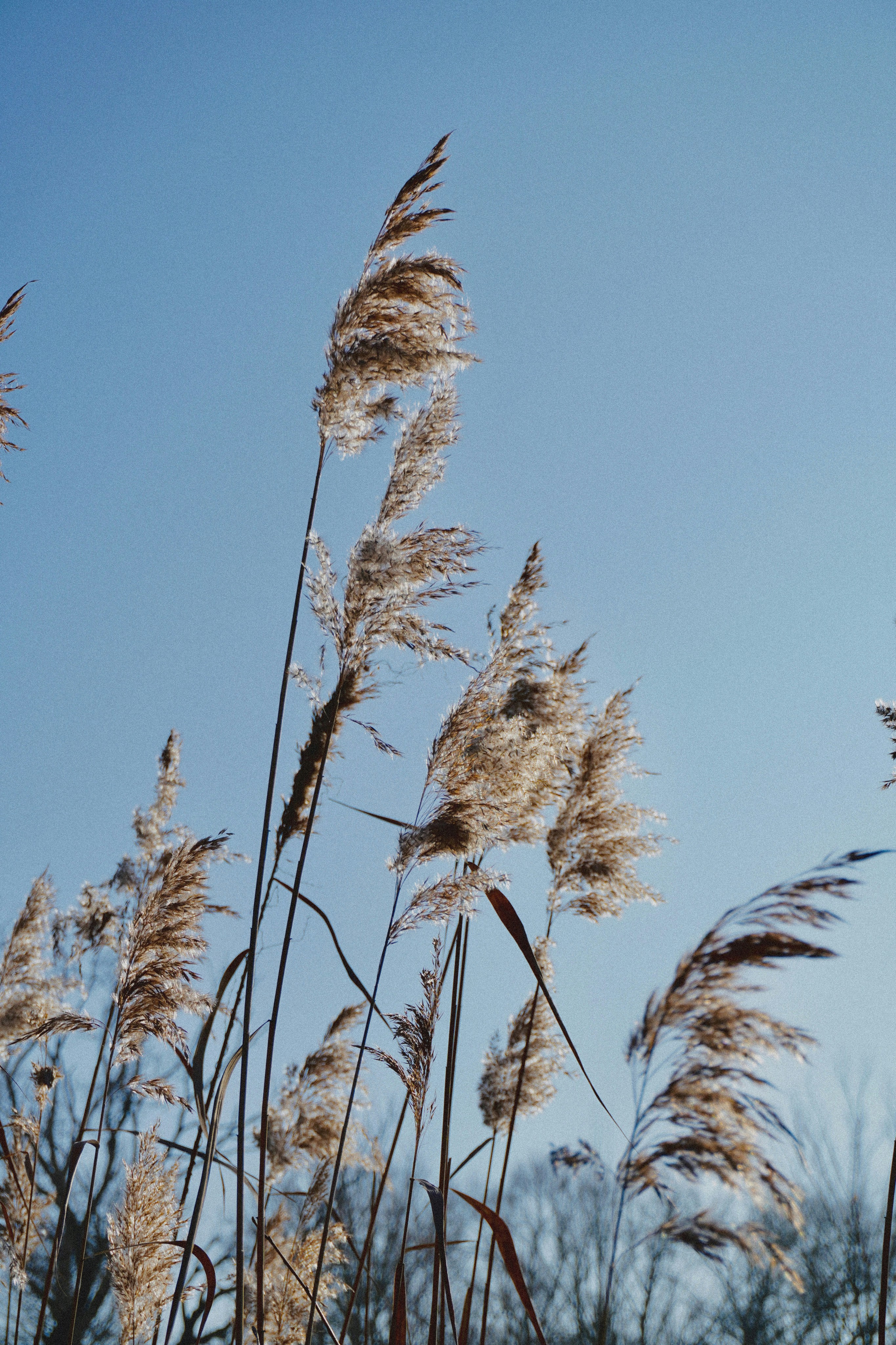 Photo by franziskawe01