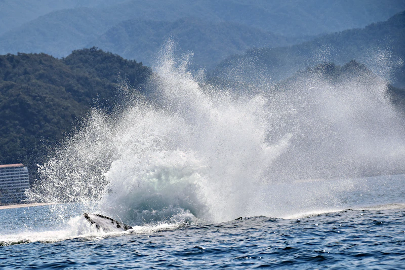 Jet ski 4
