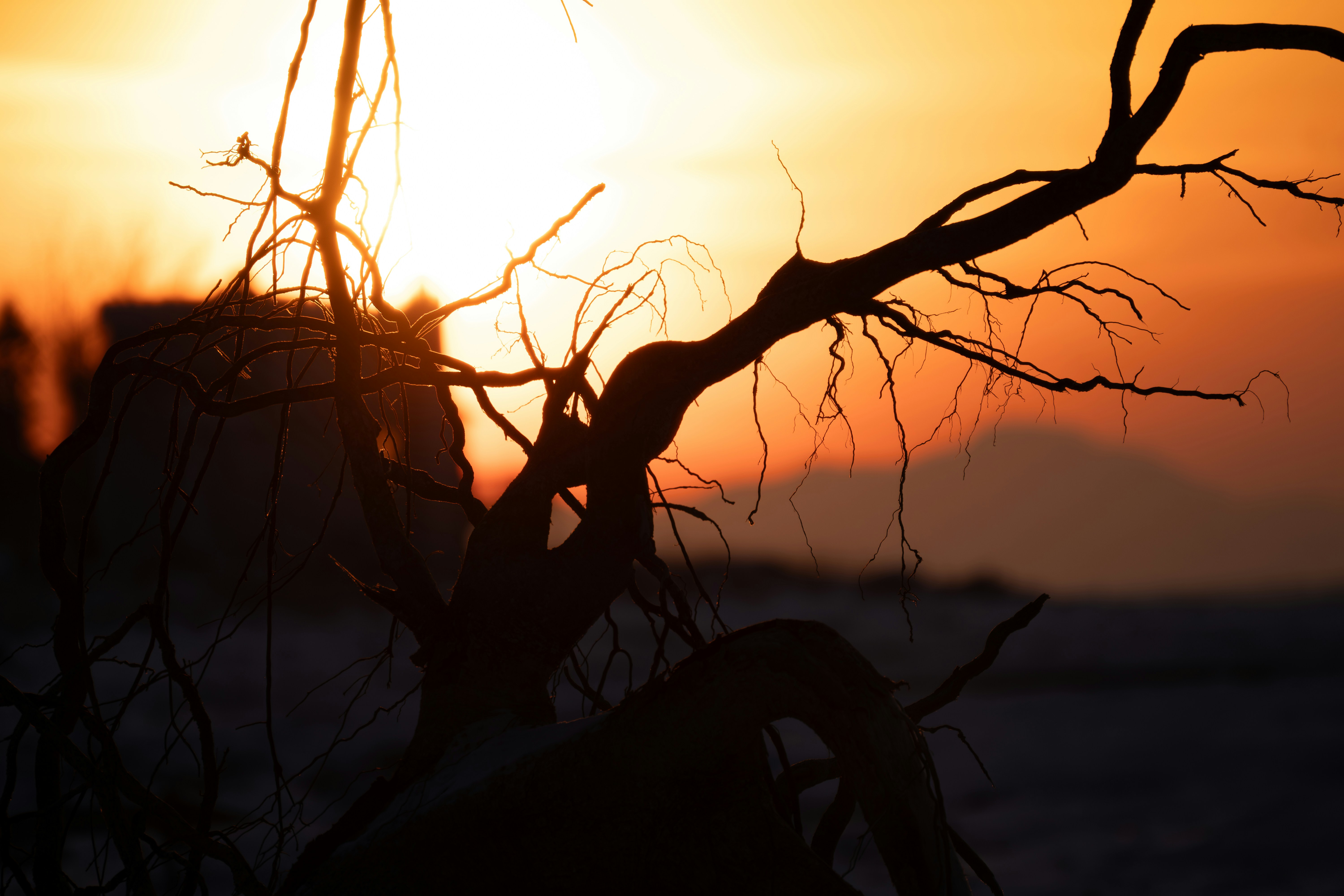 Photo by tog_photography