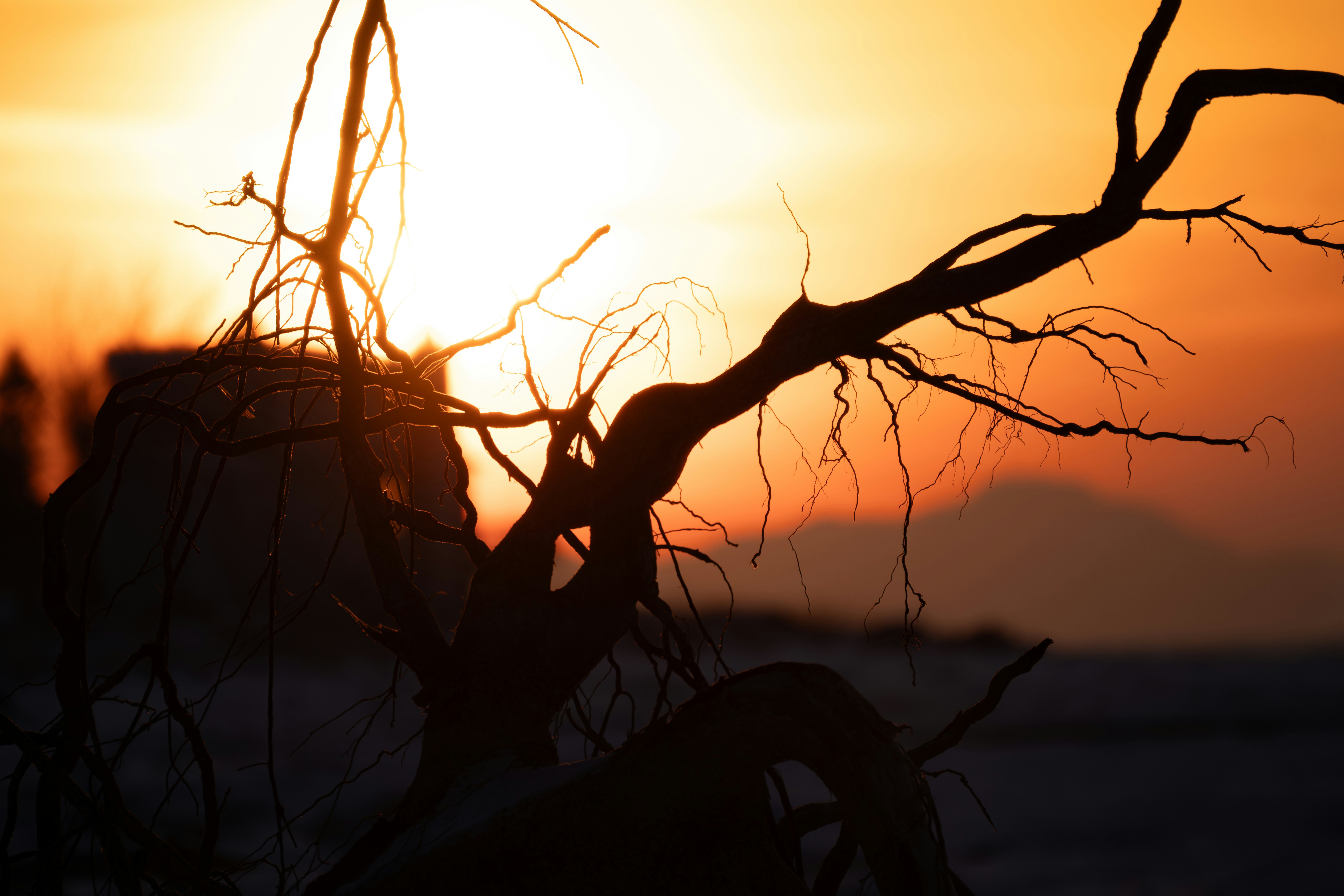 Photo by tog_photography