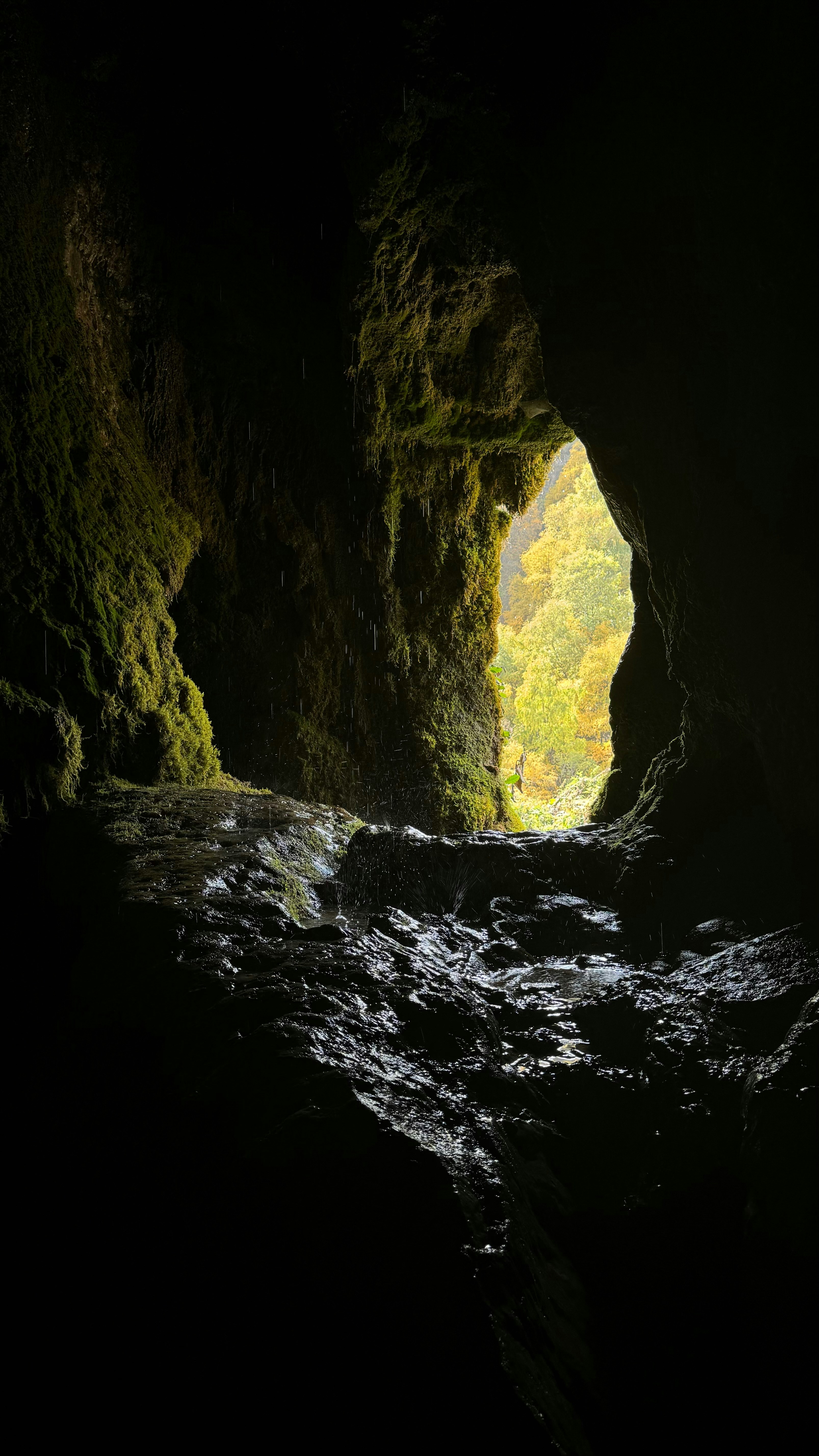 Light Zones and the Realm of Eternal Darkness (image credits: unsplash)