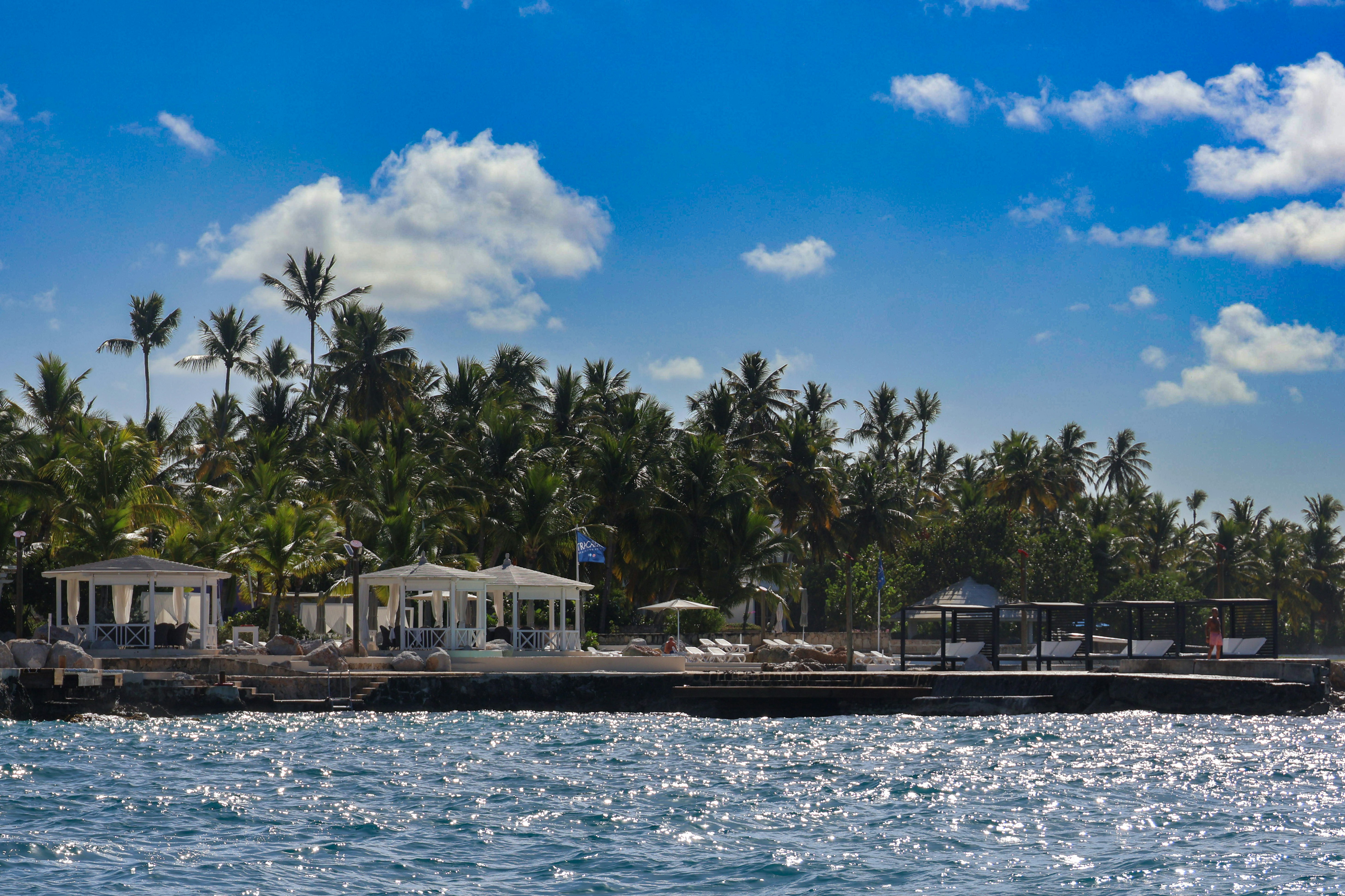 Beachfront with palm trees and blue skies.
