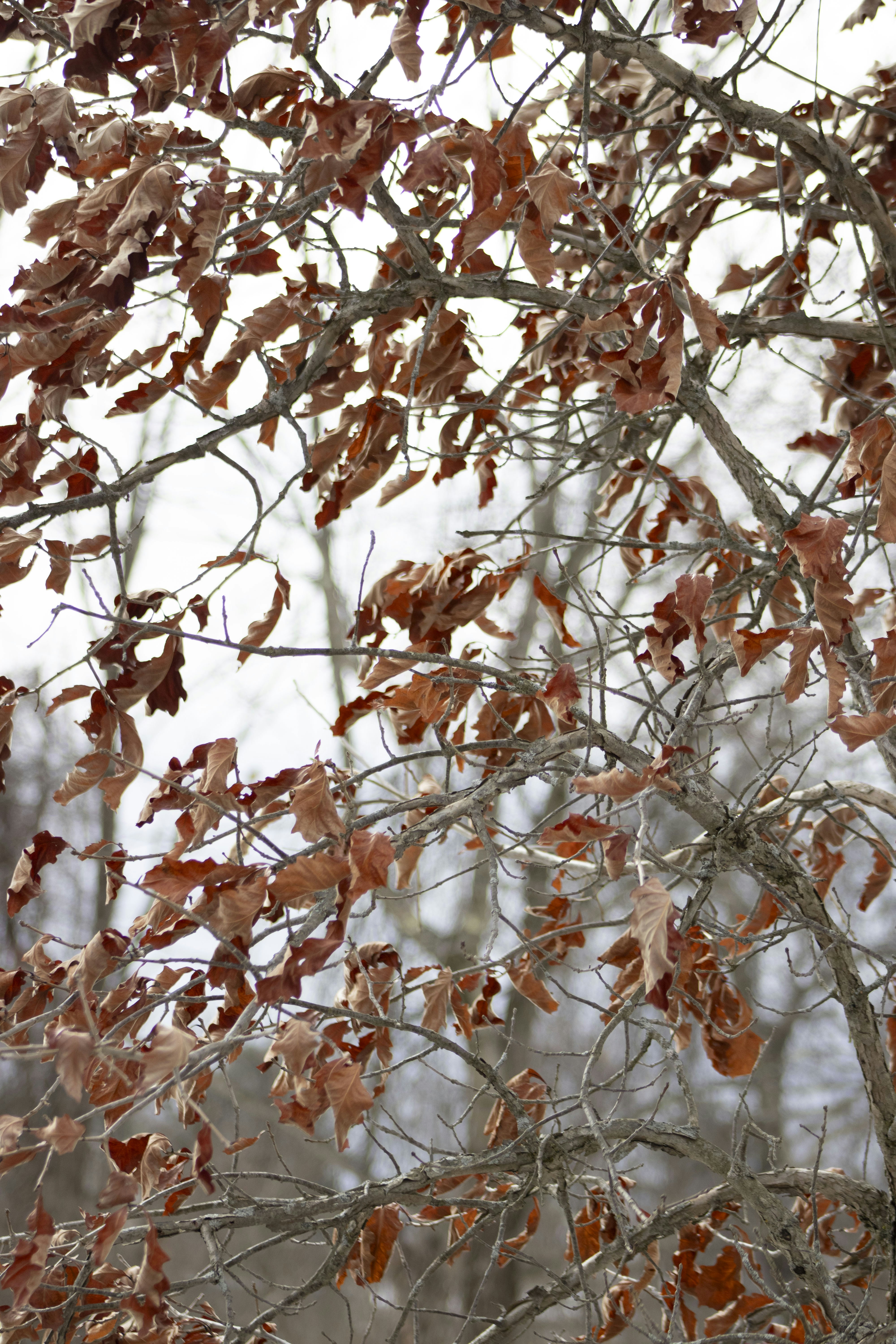 Photo by ivan_aviles