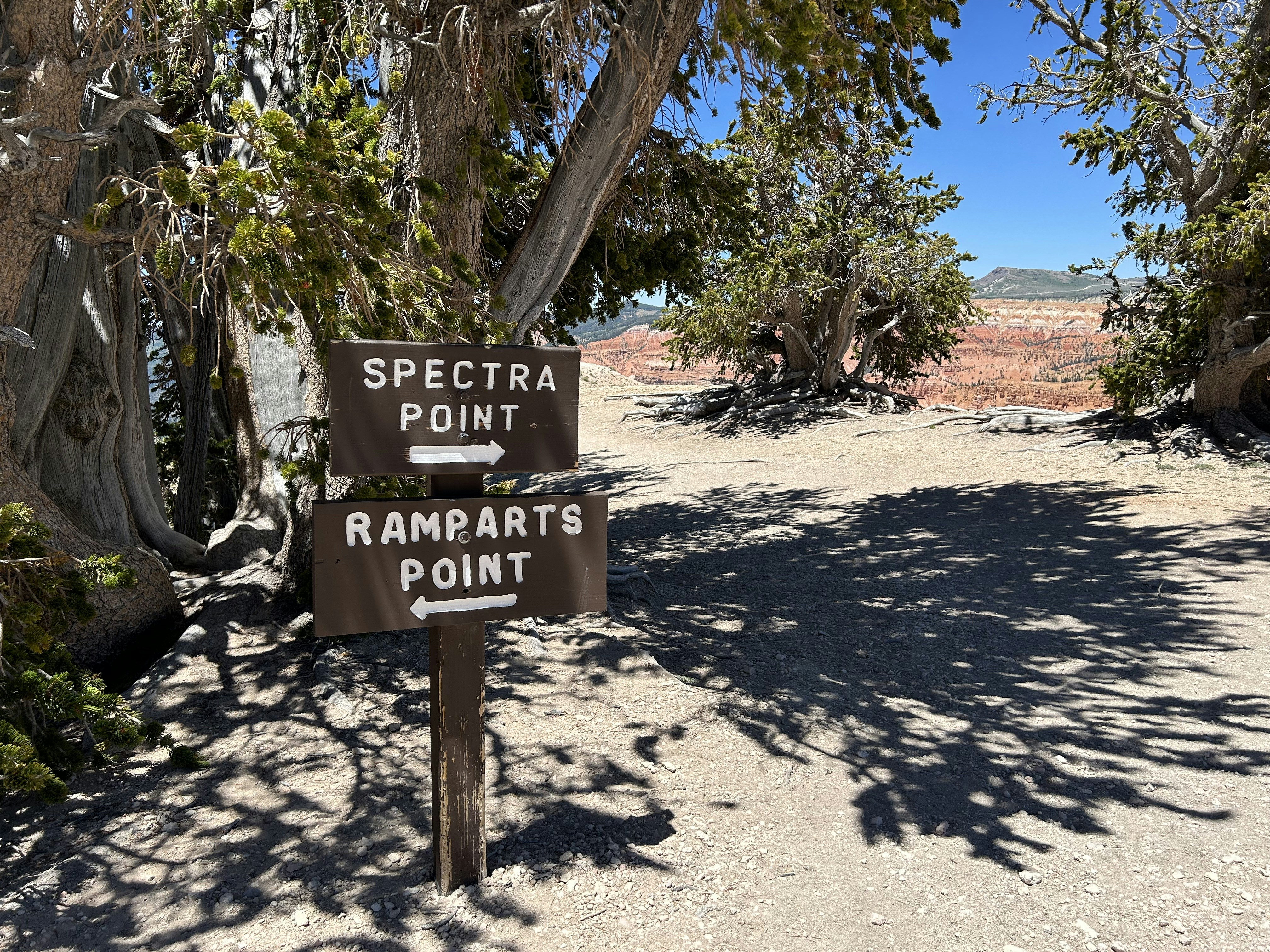 Aside from the gorgeous views Spectra Point and Ramparts Points provide, the other aspect of this trail that I admired was the grove of Bristlecone Pine trees (seen in this picture). Bristlecone Pines are my favorite tree. Aside from being the oldest living trees, their mystical forms inspire and ignite the imagination.
