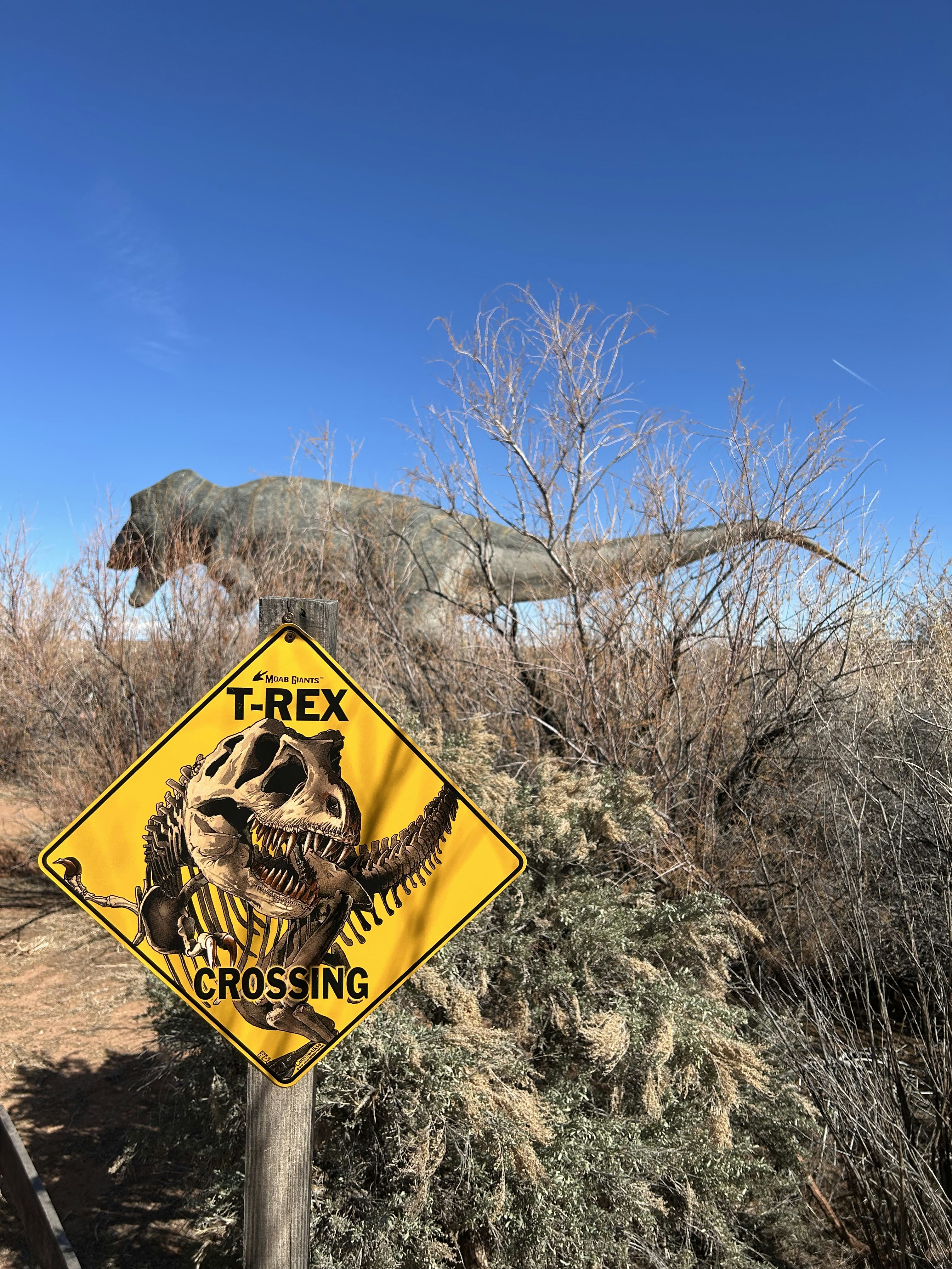 dinosaur hiking trail