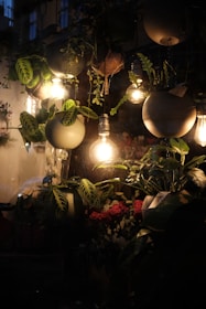 Plants and lights illuminate the night.