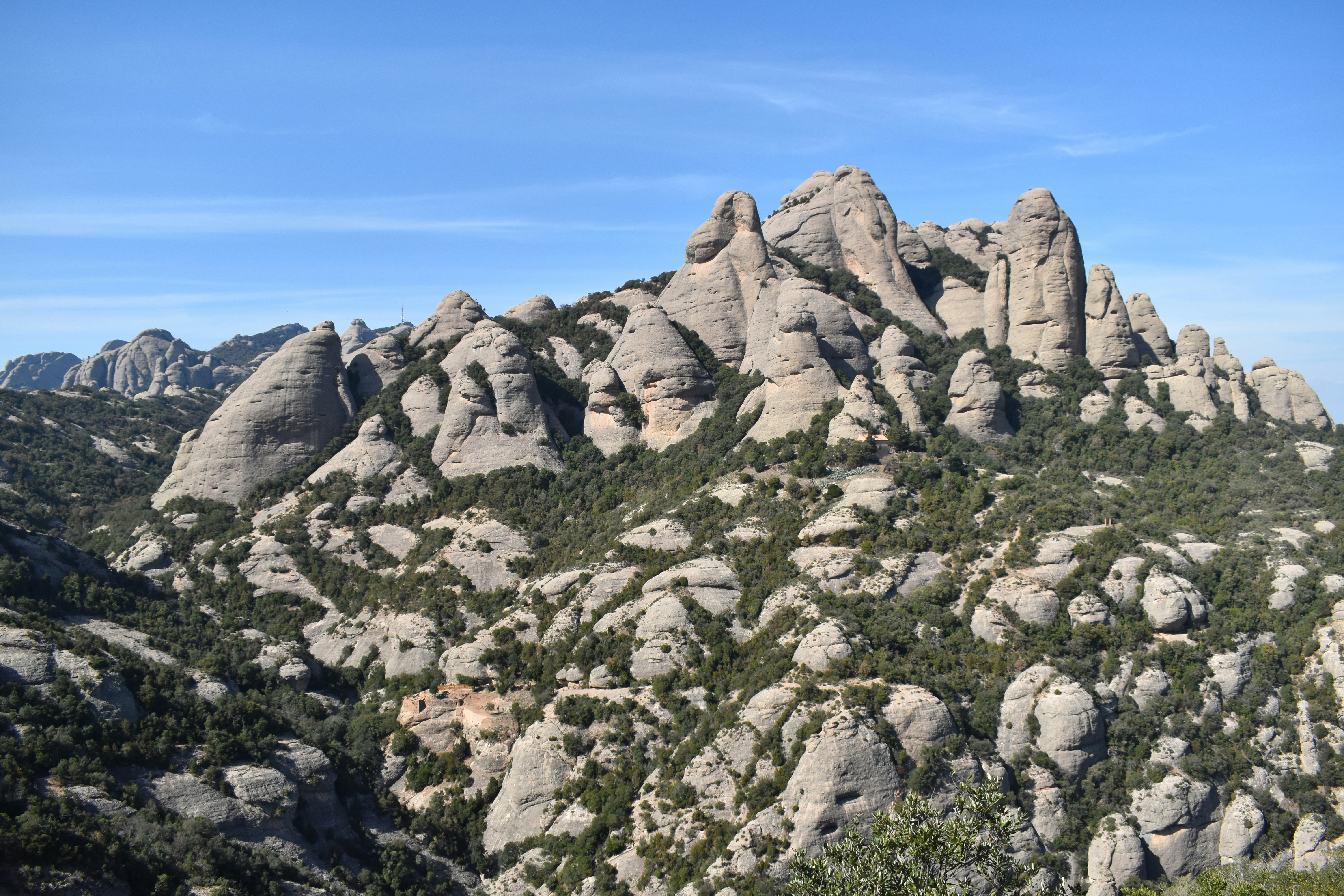 Photo by niloufarmirhadi