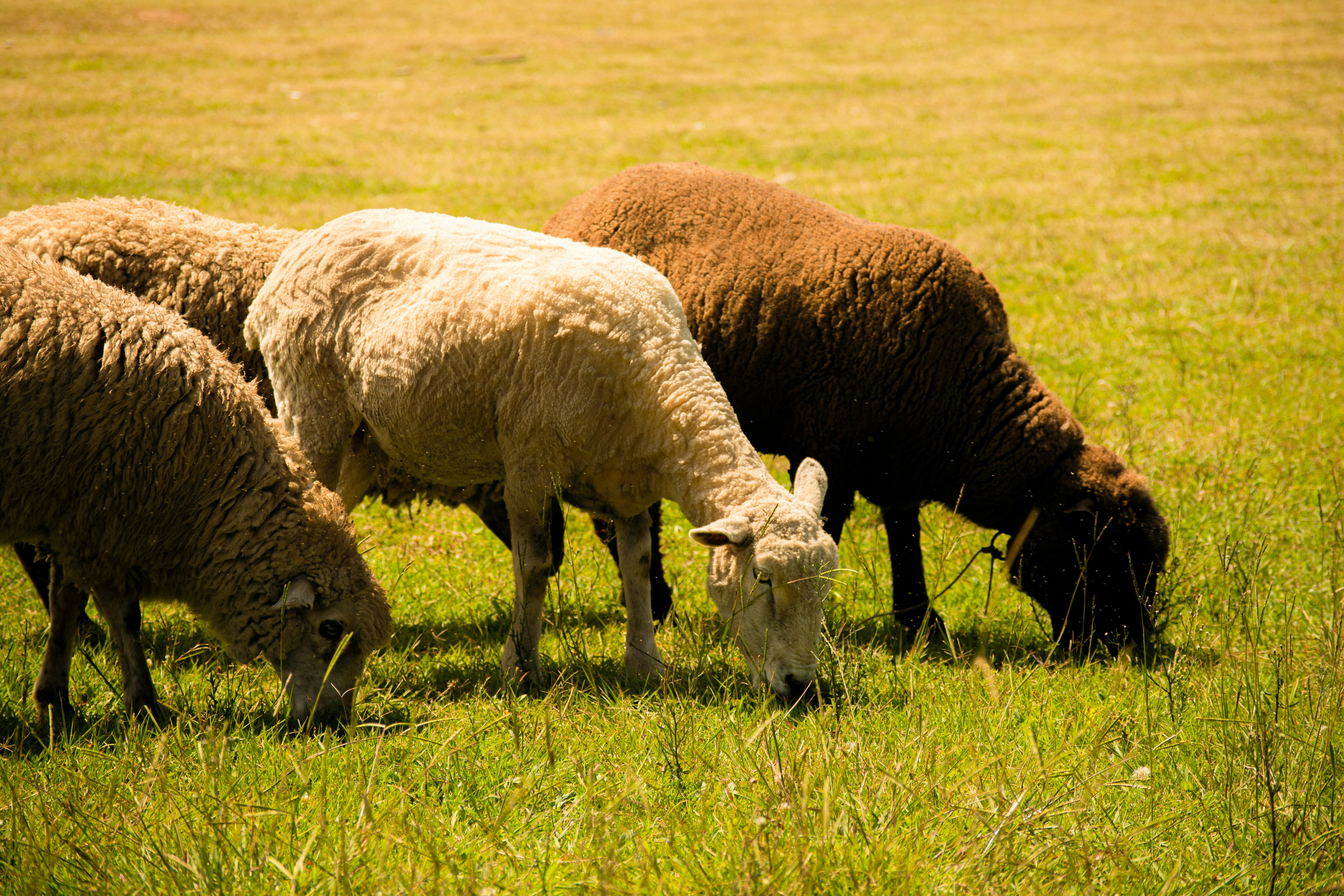 Photo by guadalupeayarza