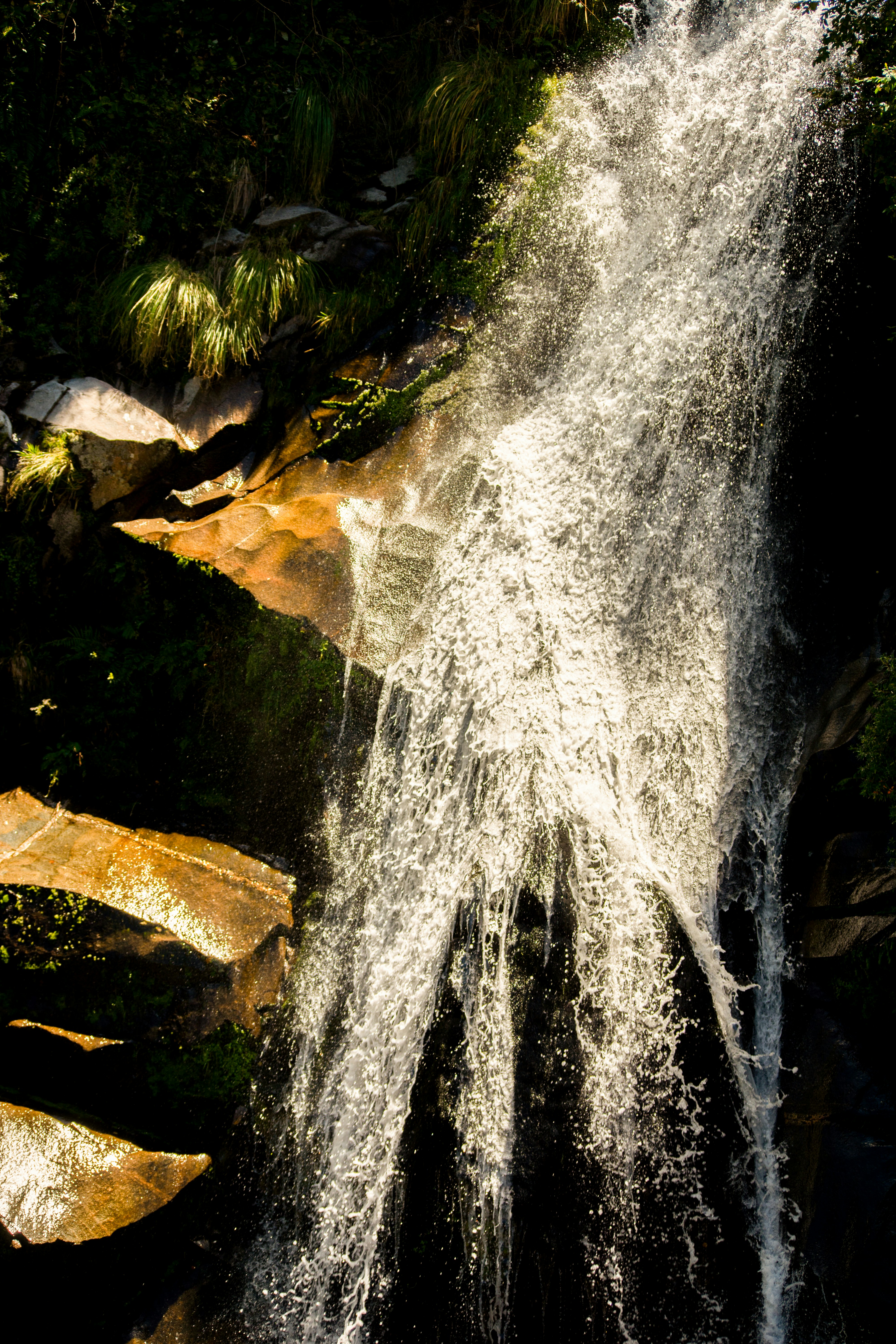 Photo by guadalupeayarza