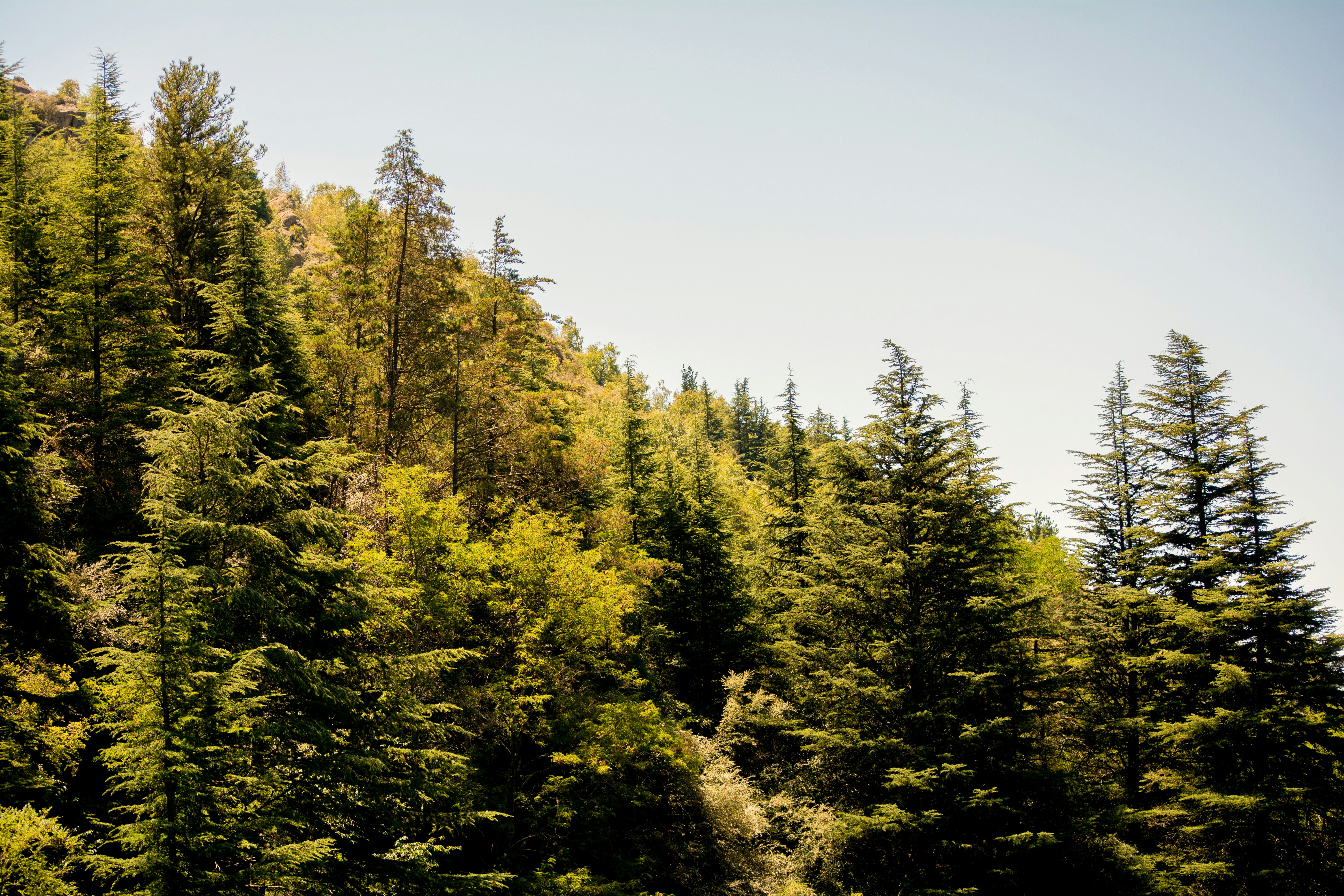 Photo by guadalupeayarza