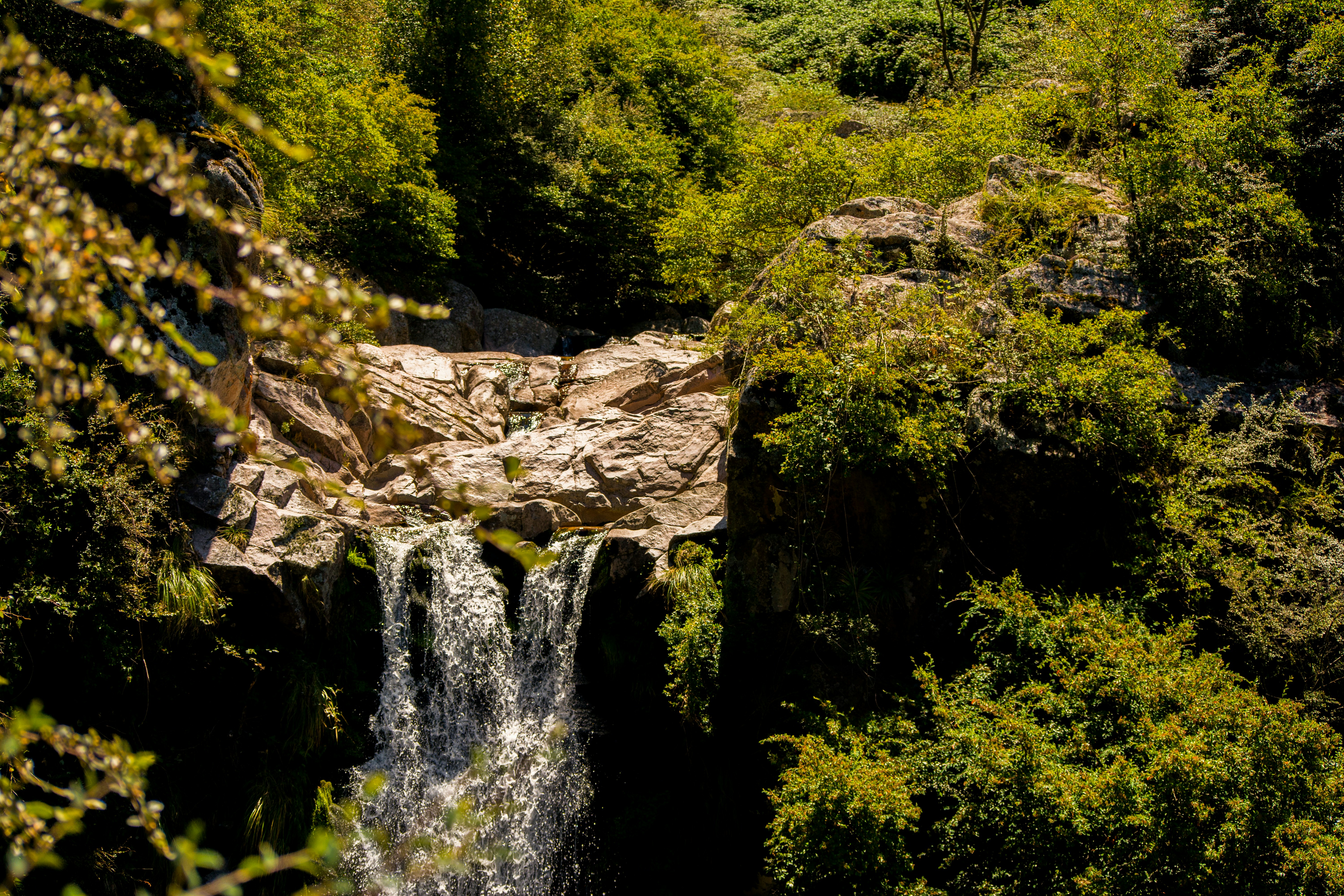 Photo by guadalupeayarza