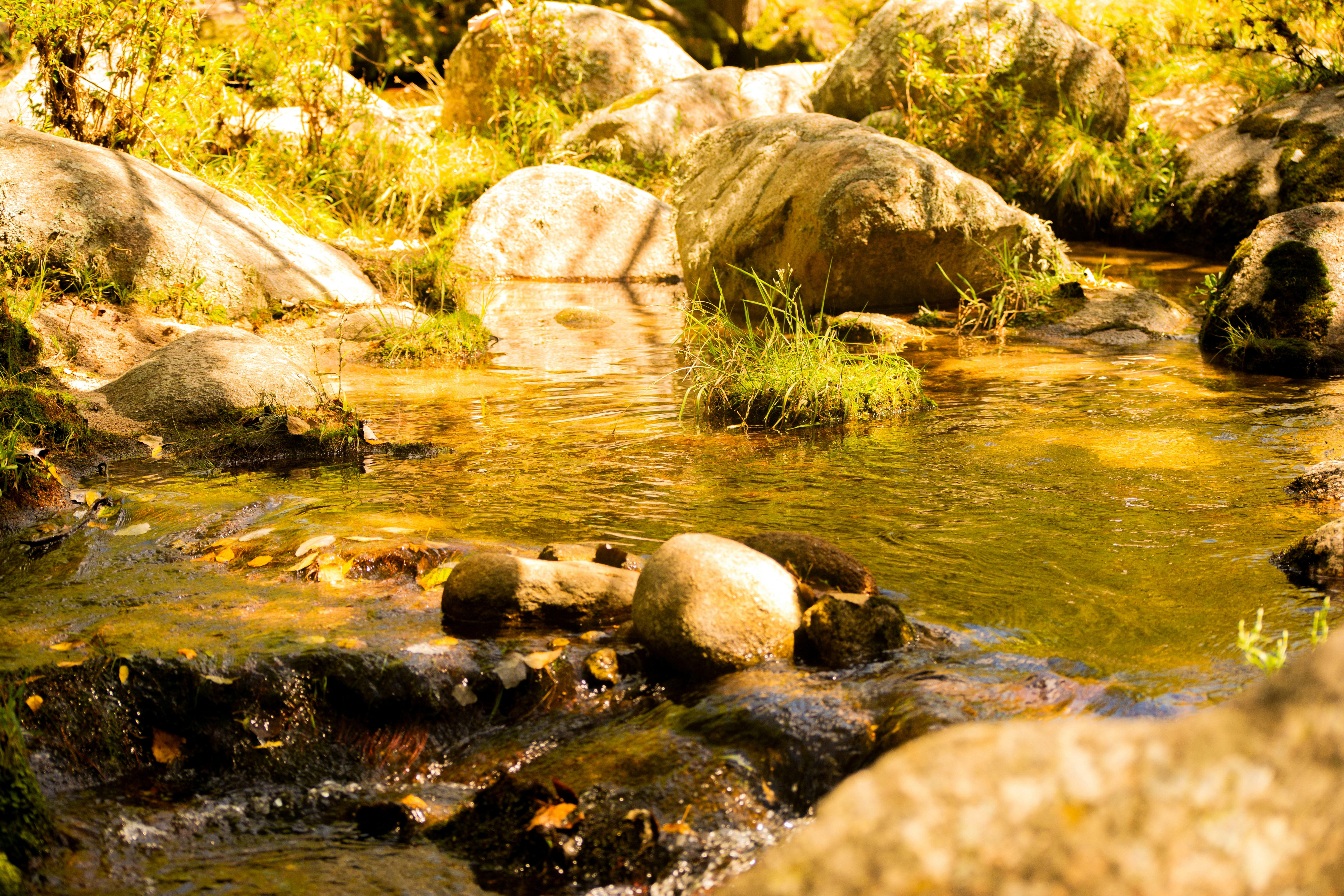 Photo by guadalupeayarza