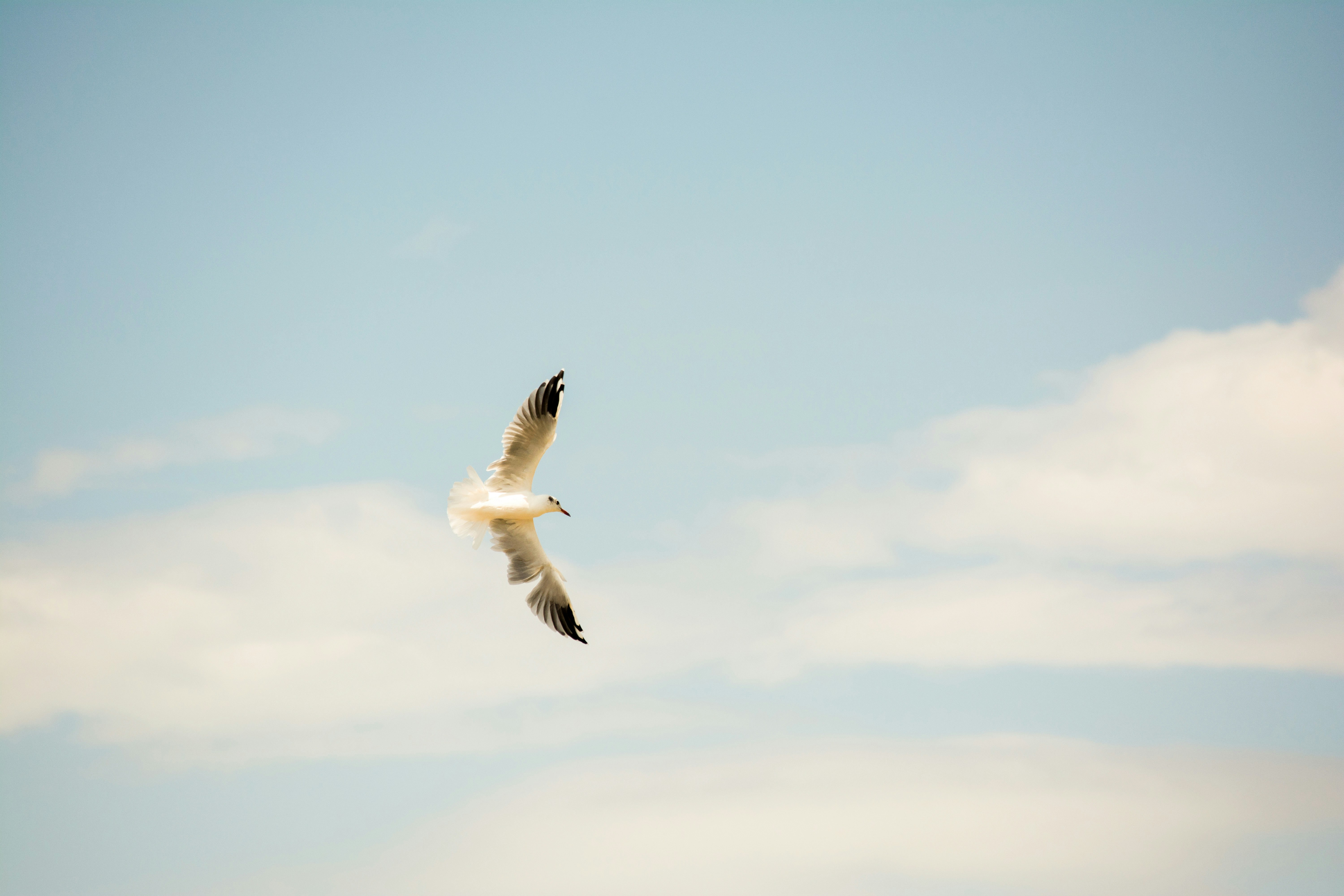 Photo by guadalupeayarza