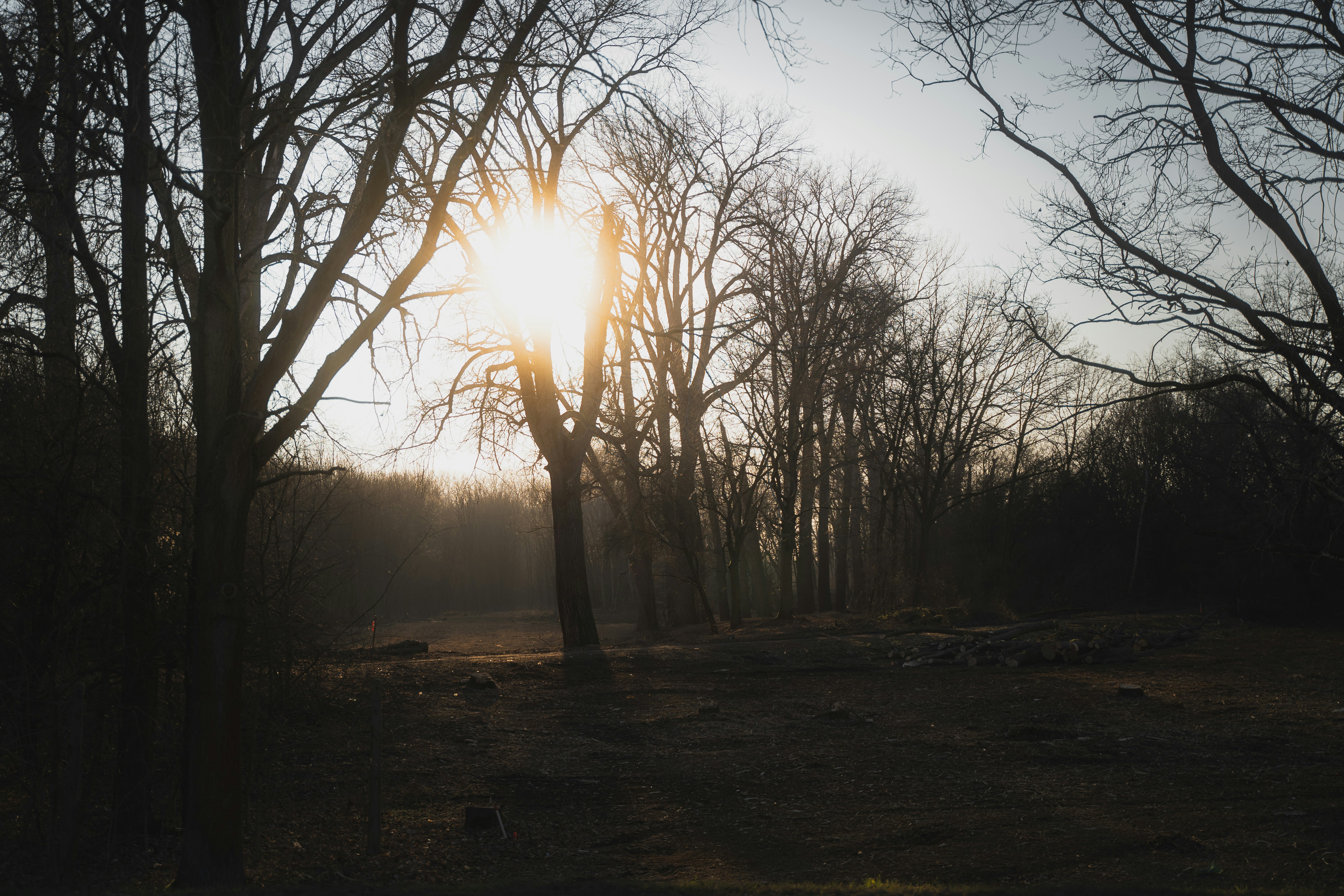 Photo by jakubklucky