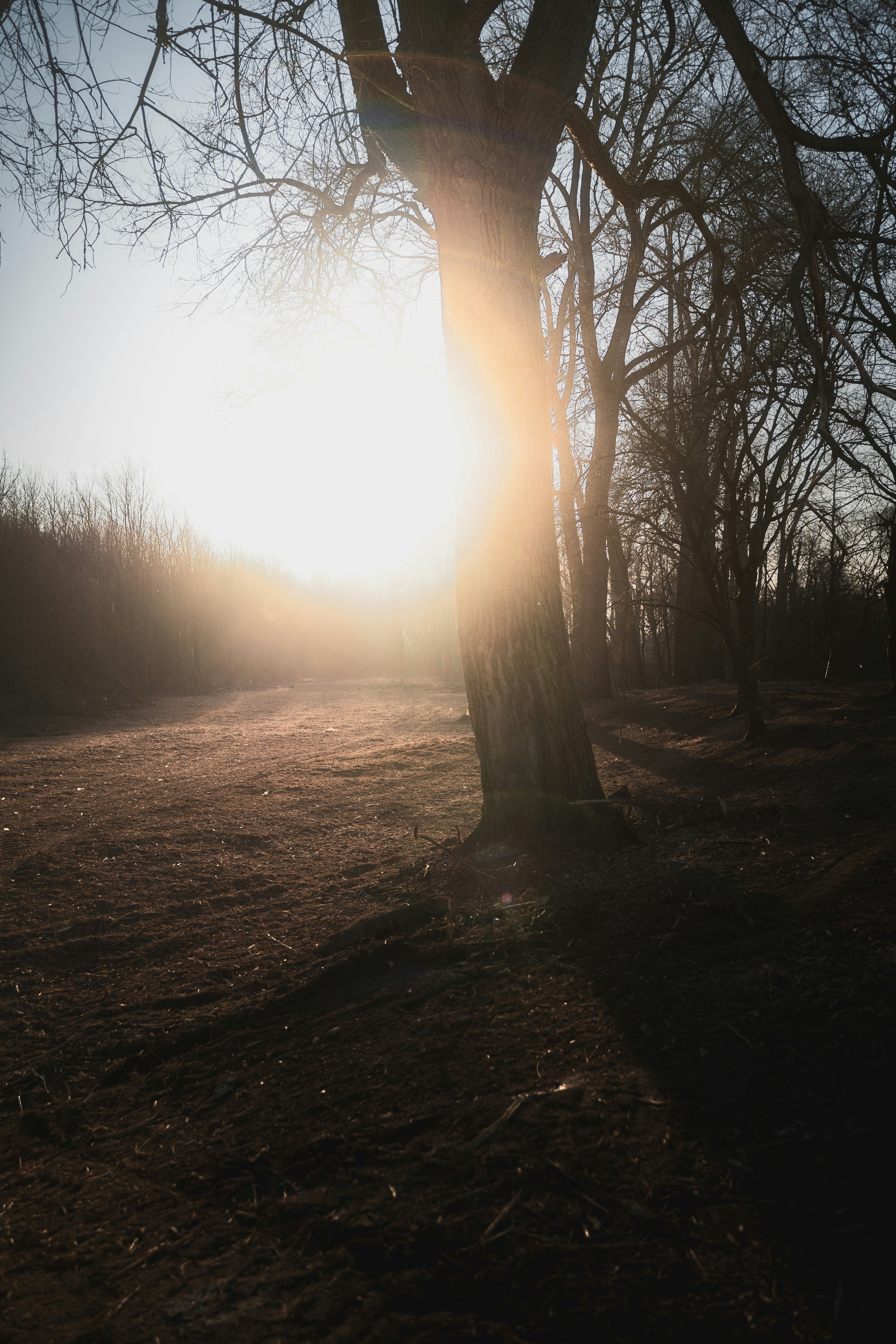 Photo by jakubklucky