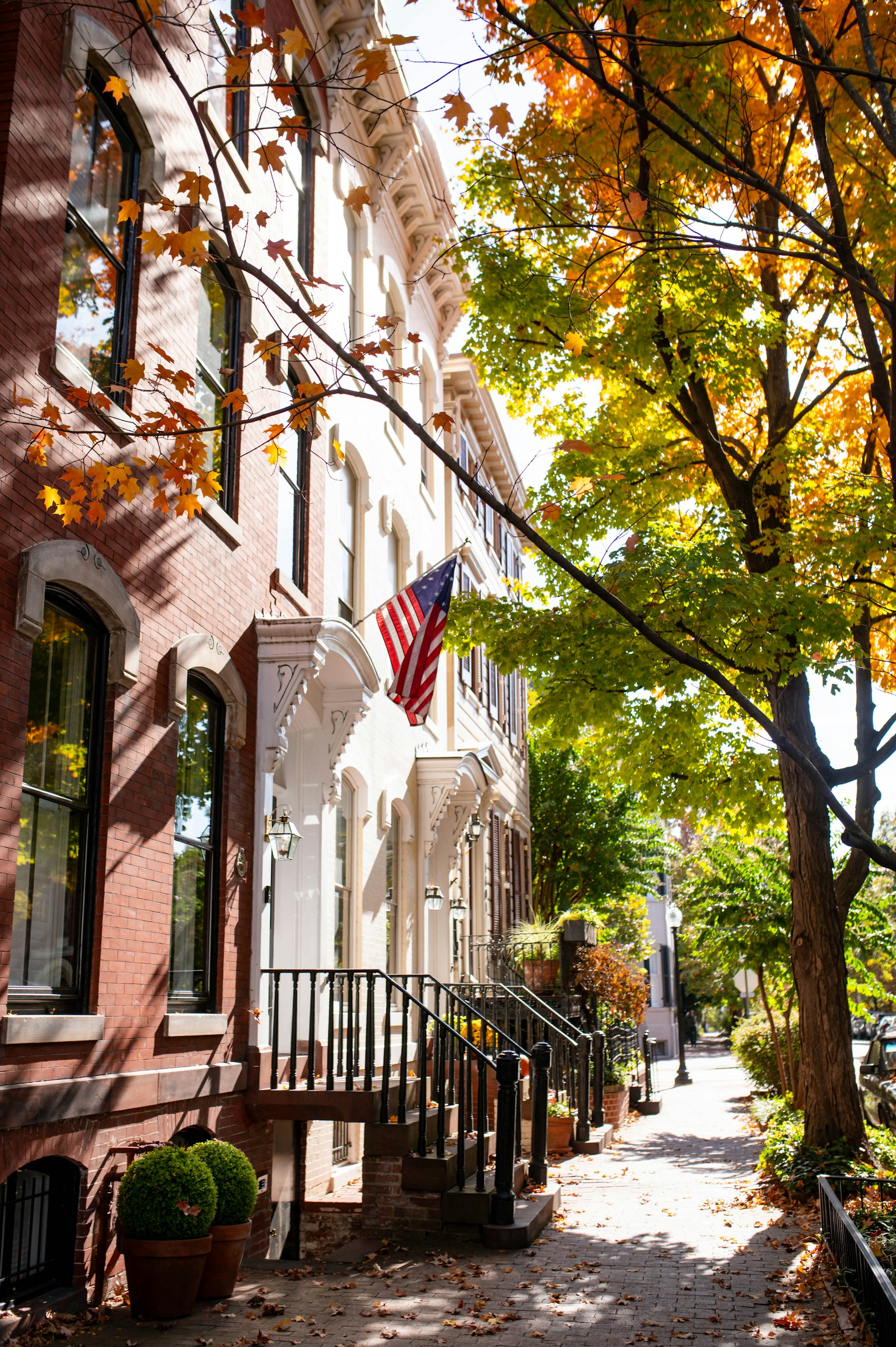Historic Capitol Hill rowhomes with American flags and front stoops
