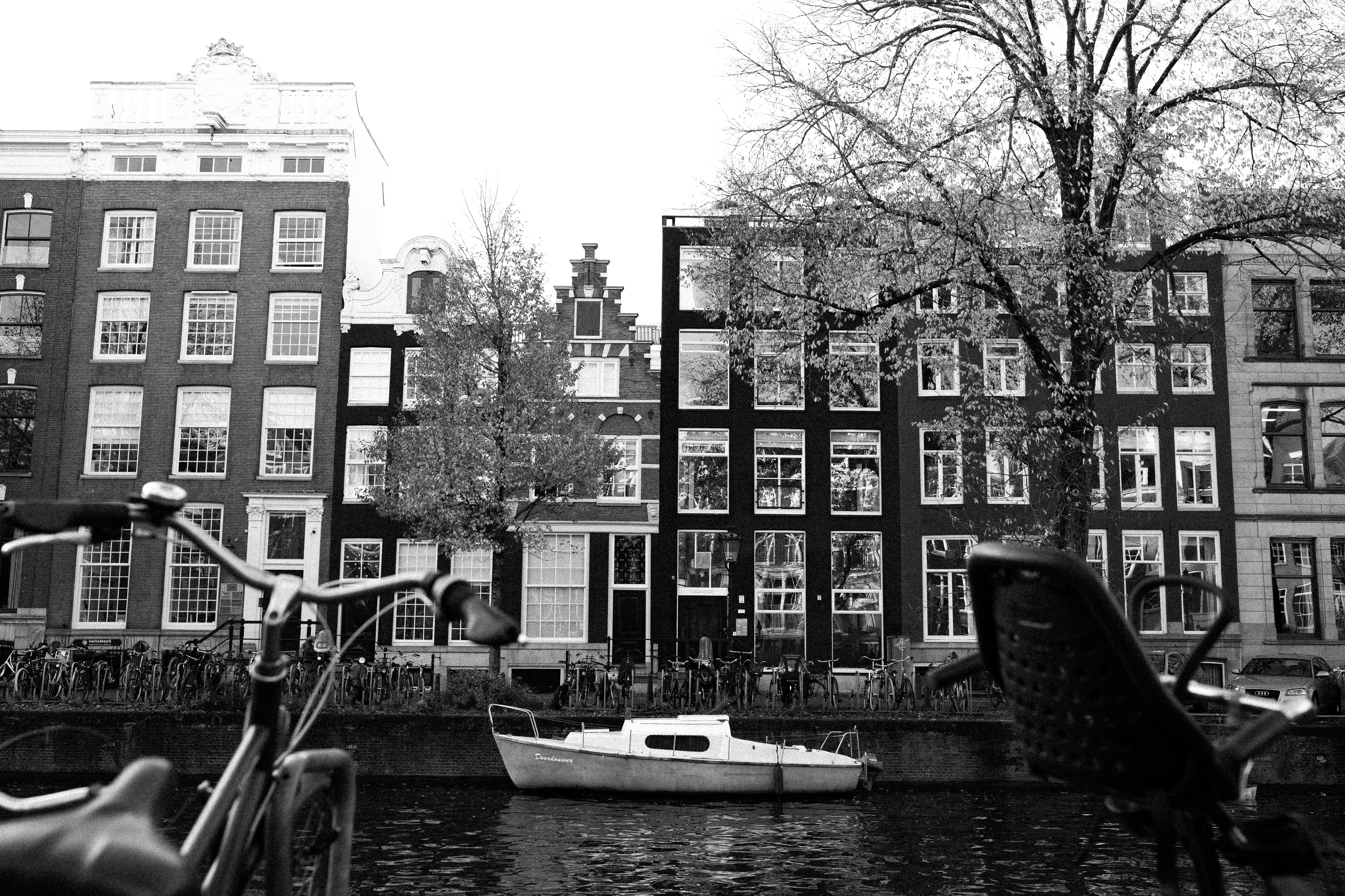 Image by Negley Stockman via Unsplash