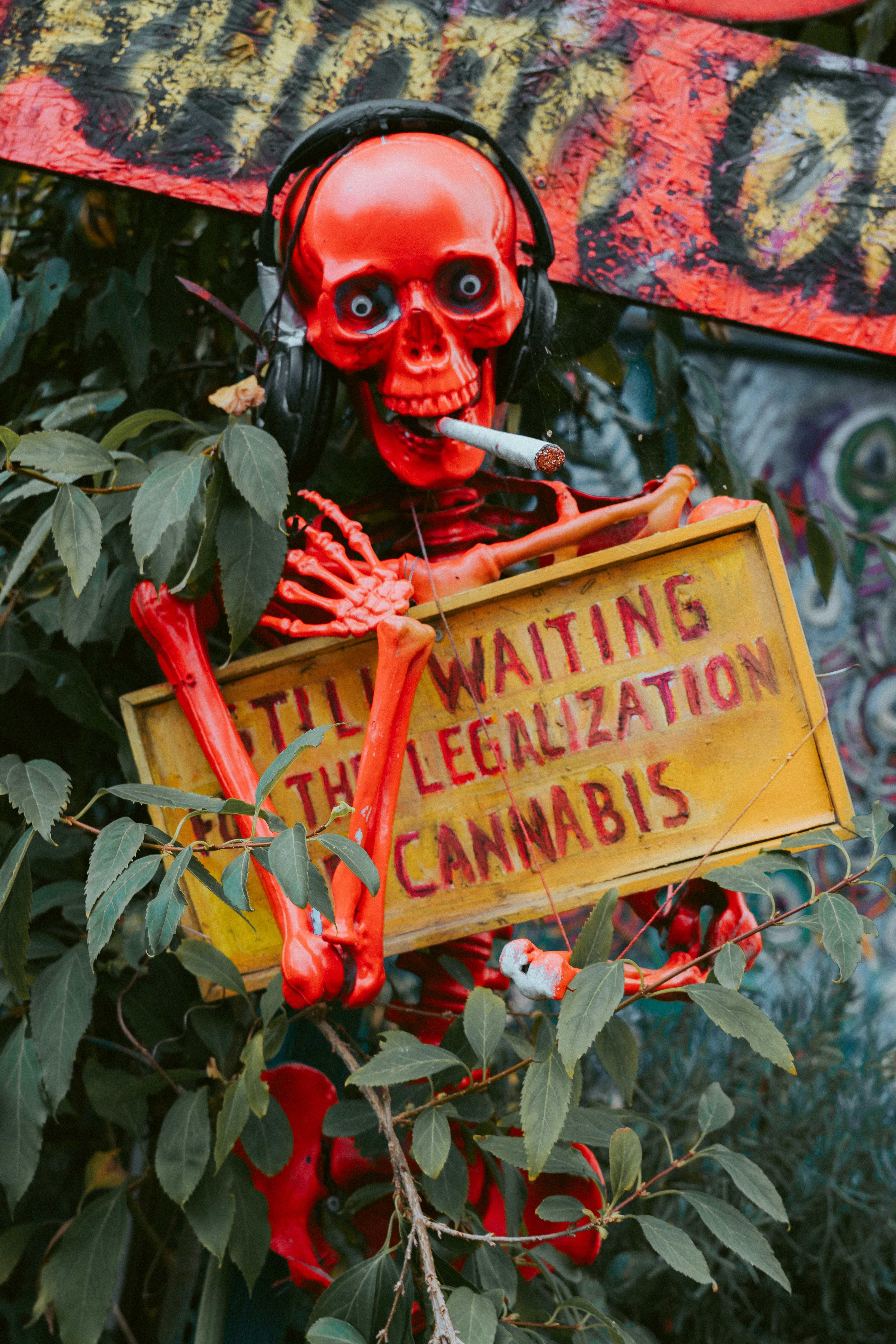 The Intricacies of Legalization: Navigating Jurisdictions and Their Differences