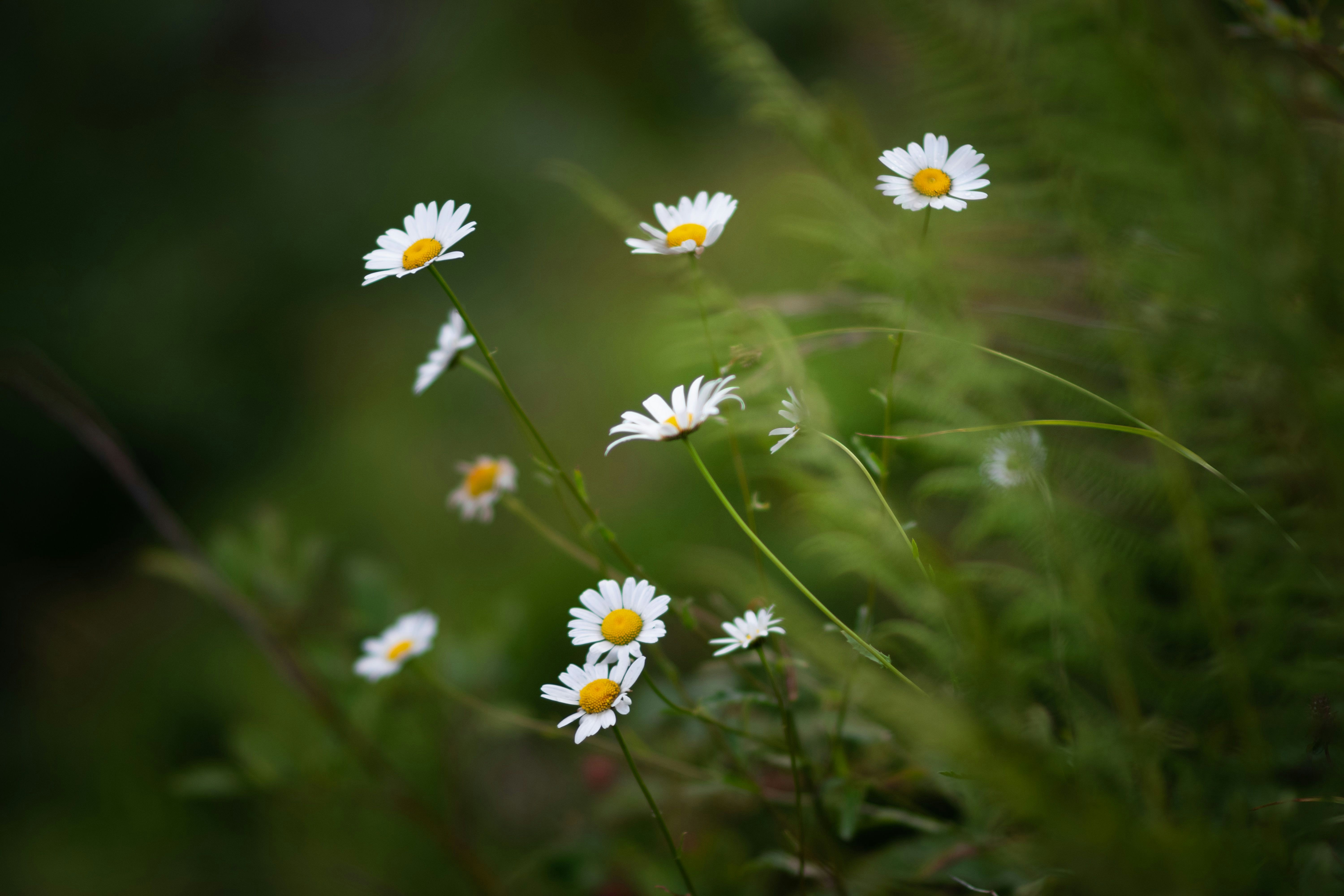 Photo by sevencolors