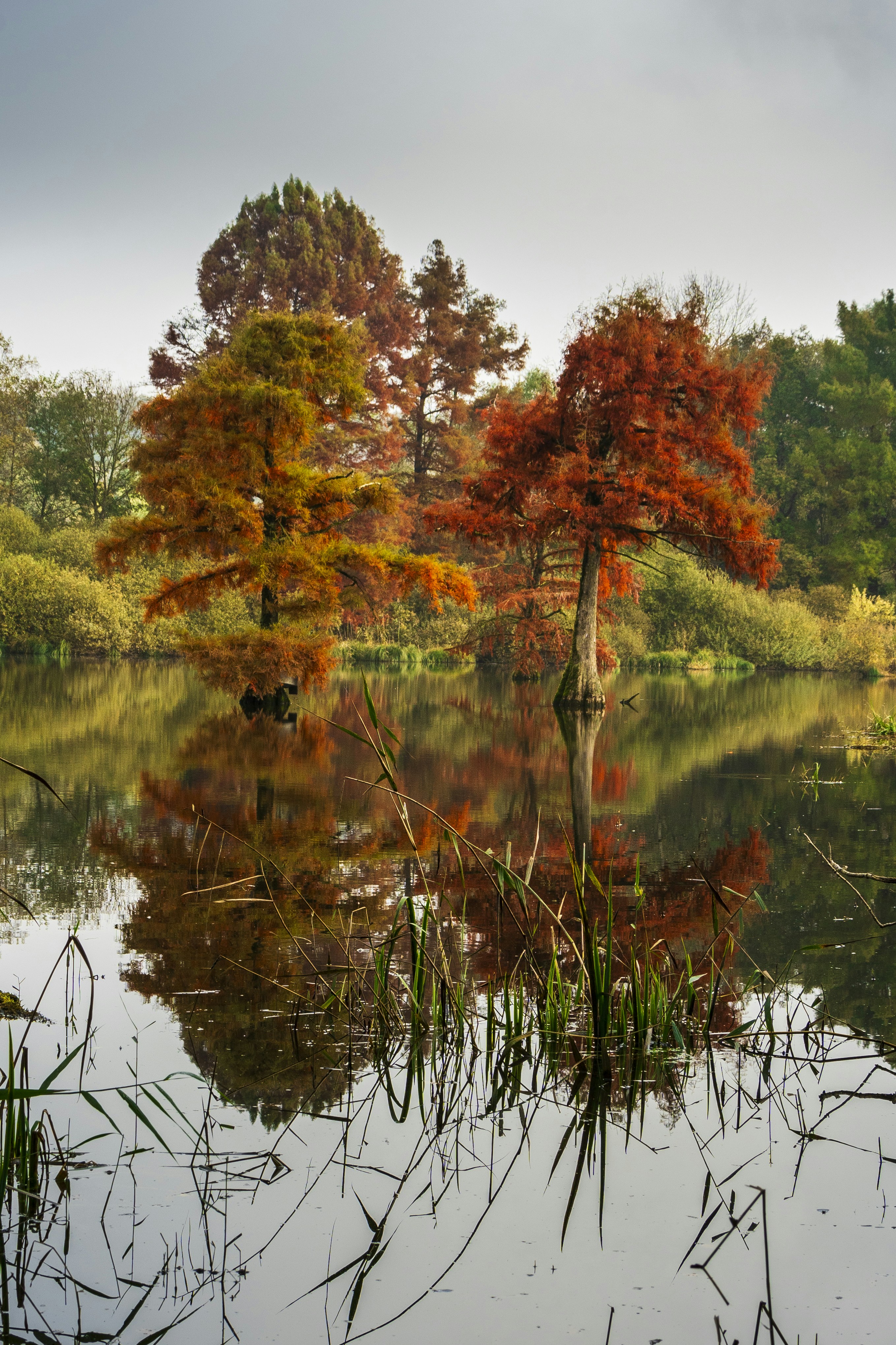 Photo by le_sixieme_reve