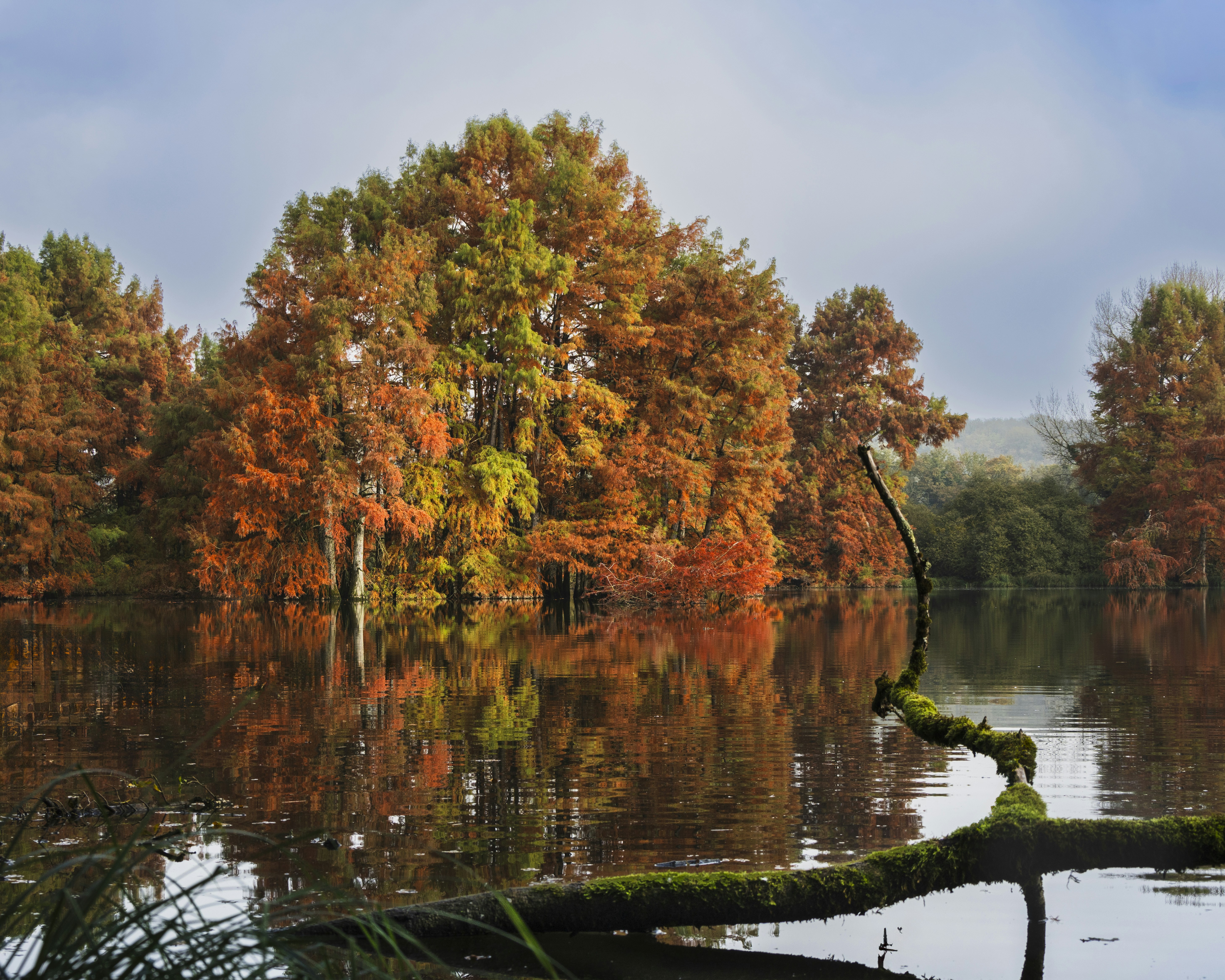 Photo by le_sixieme_reve