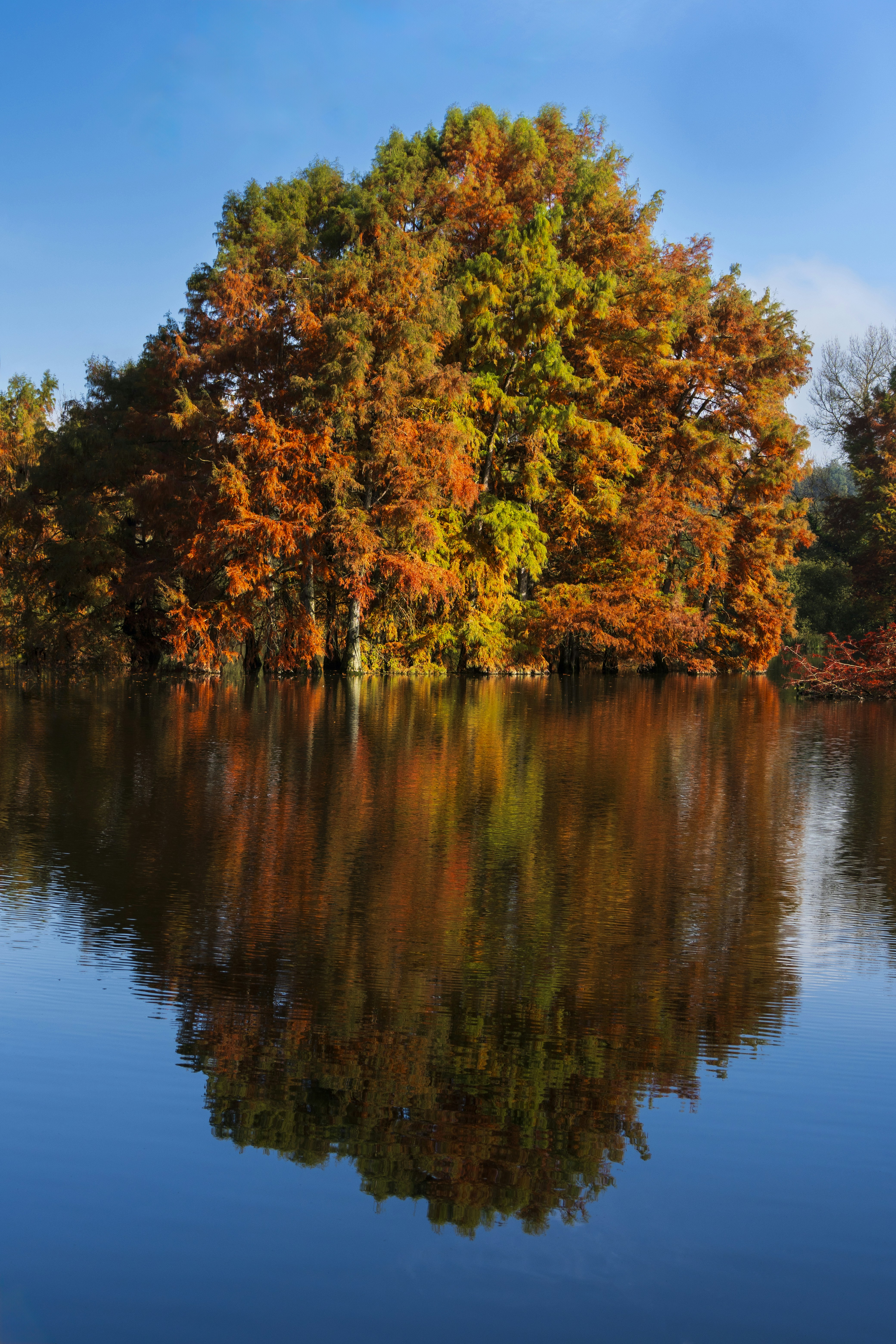 Photo by le_sixieme_reve