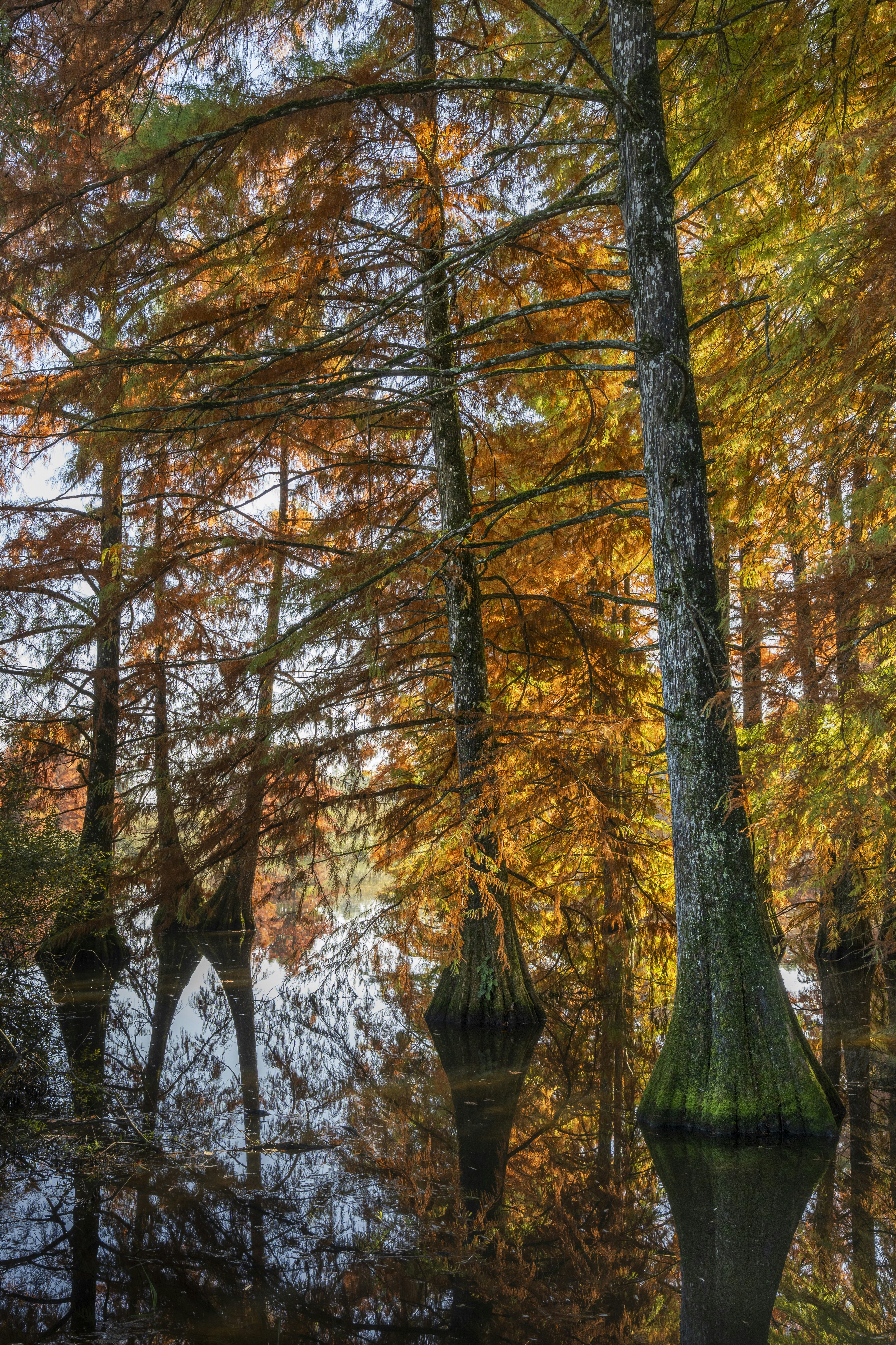 Photo by le_sixieme_reve