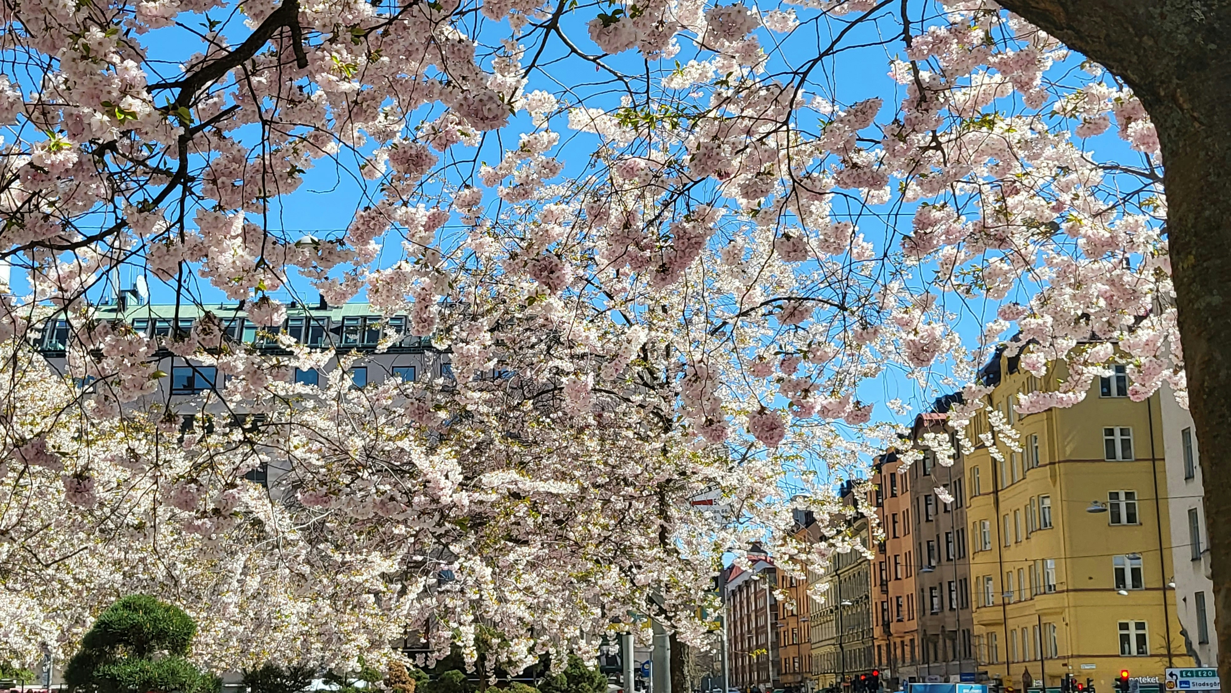 Photo by englundhelena