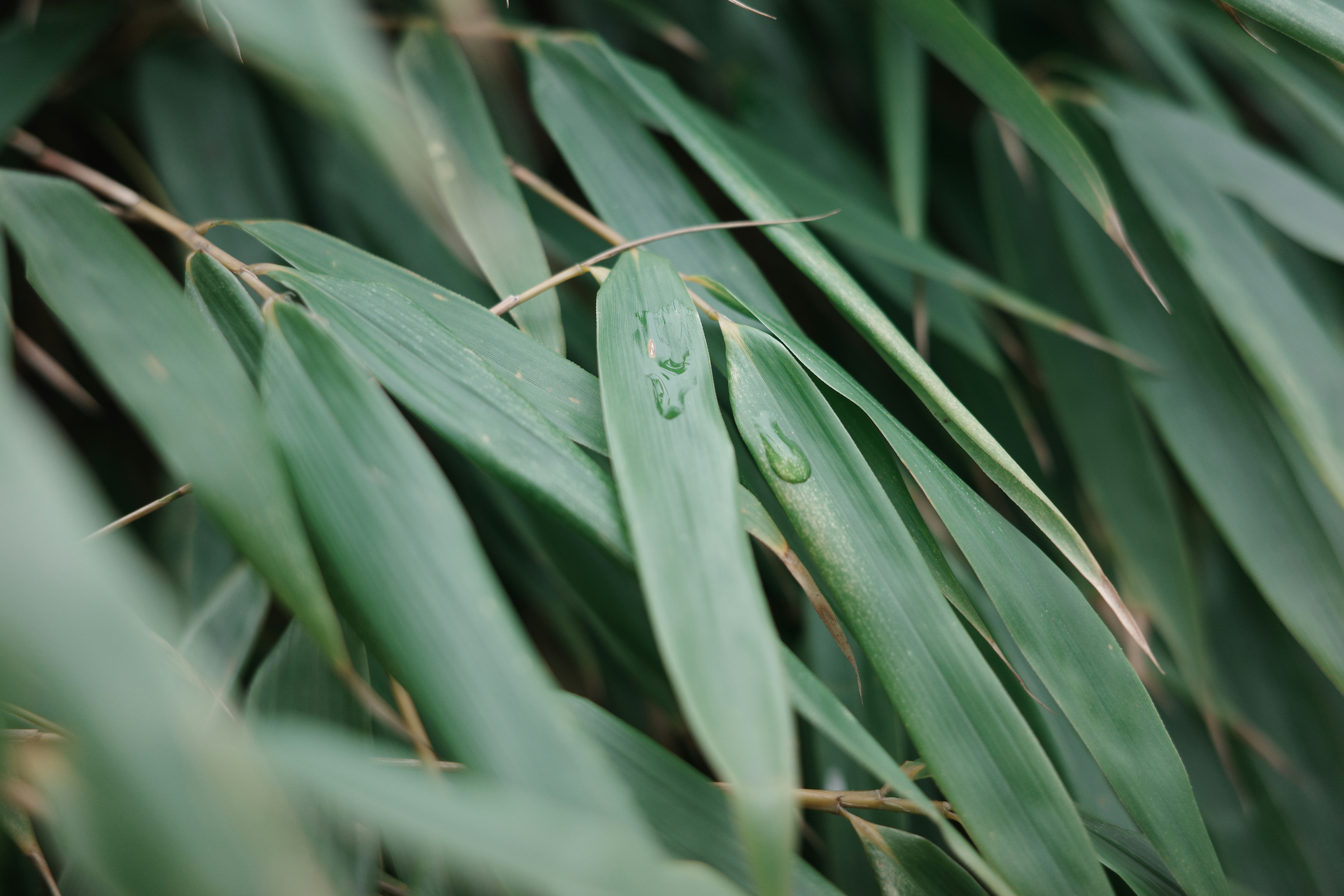 Photo by virginiaphotostories