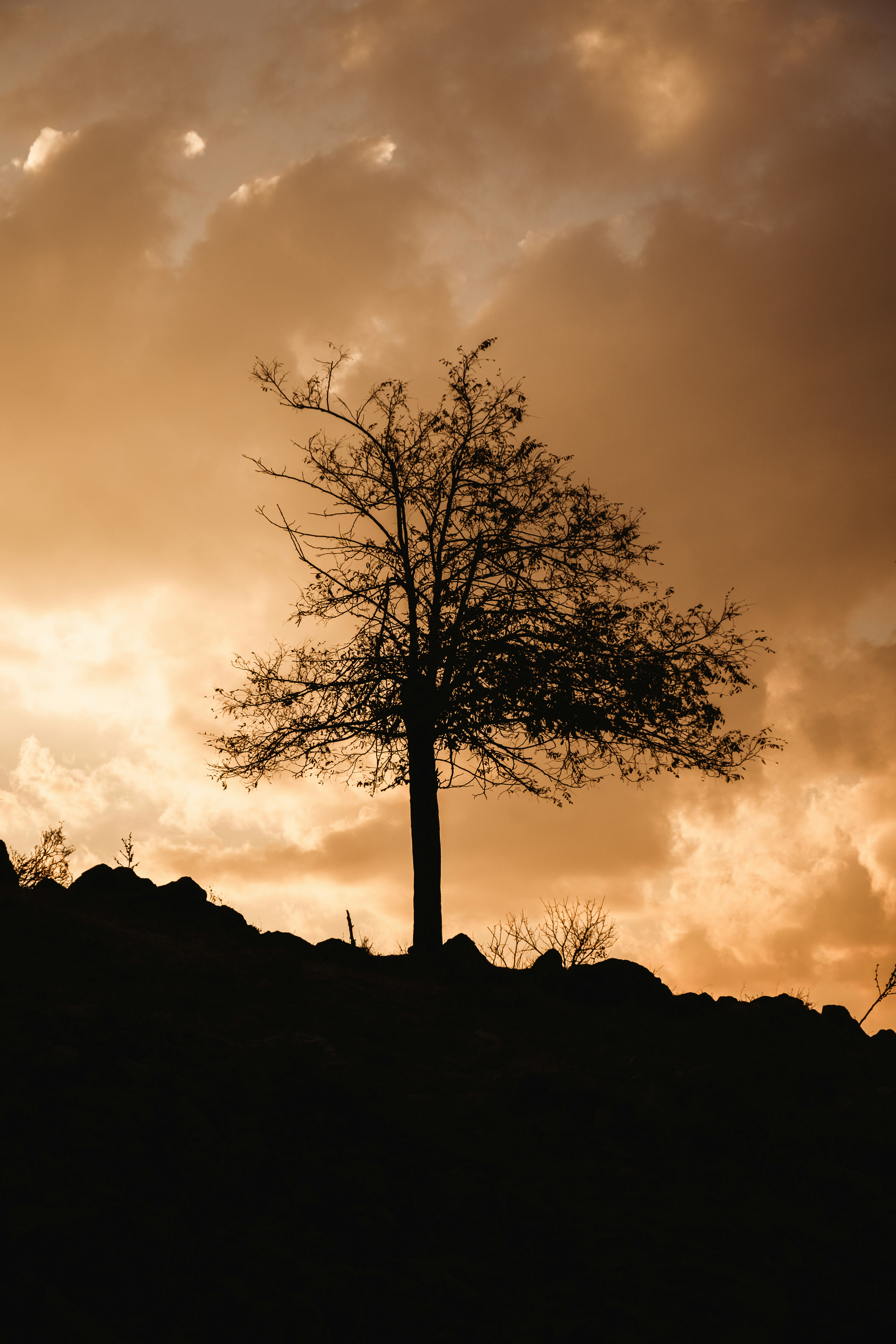 Photo by gencsanatkultur